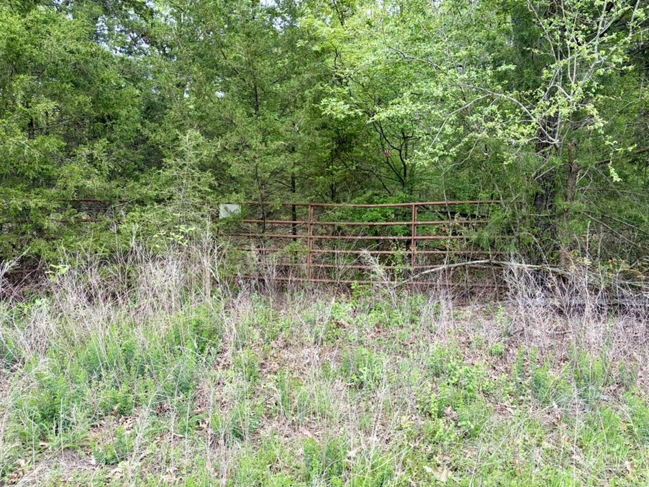 003 Drag Strip Road  Dardanelle, AR