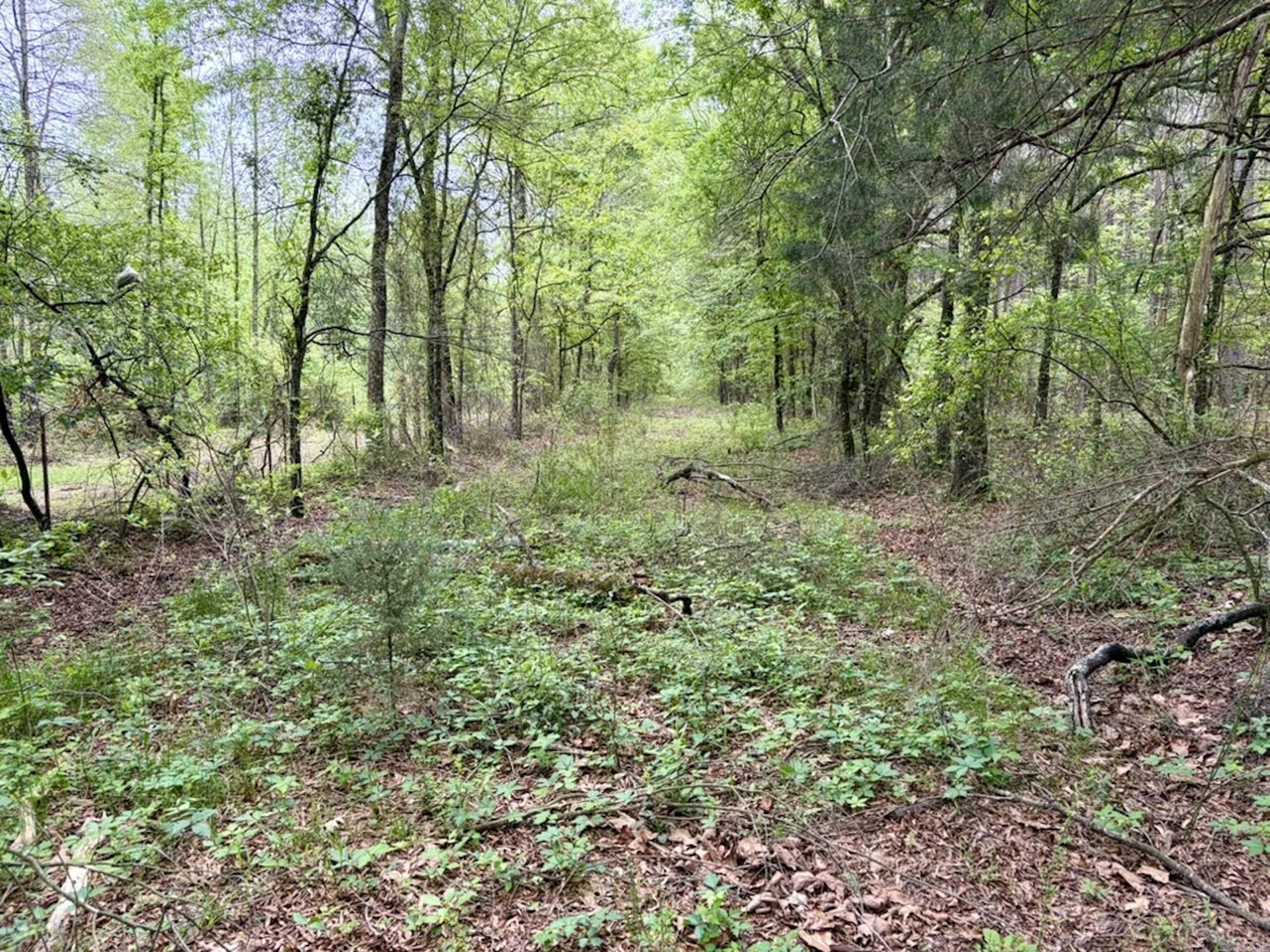 003 Drag Strip Road  Dardanelle, AR