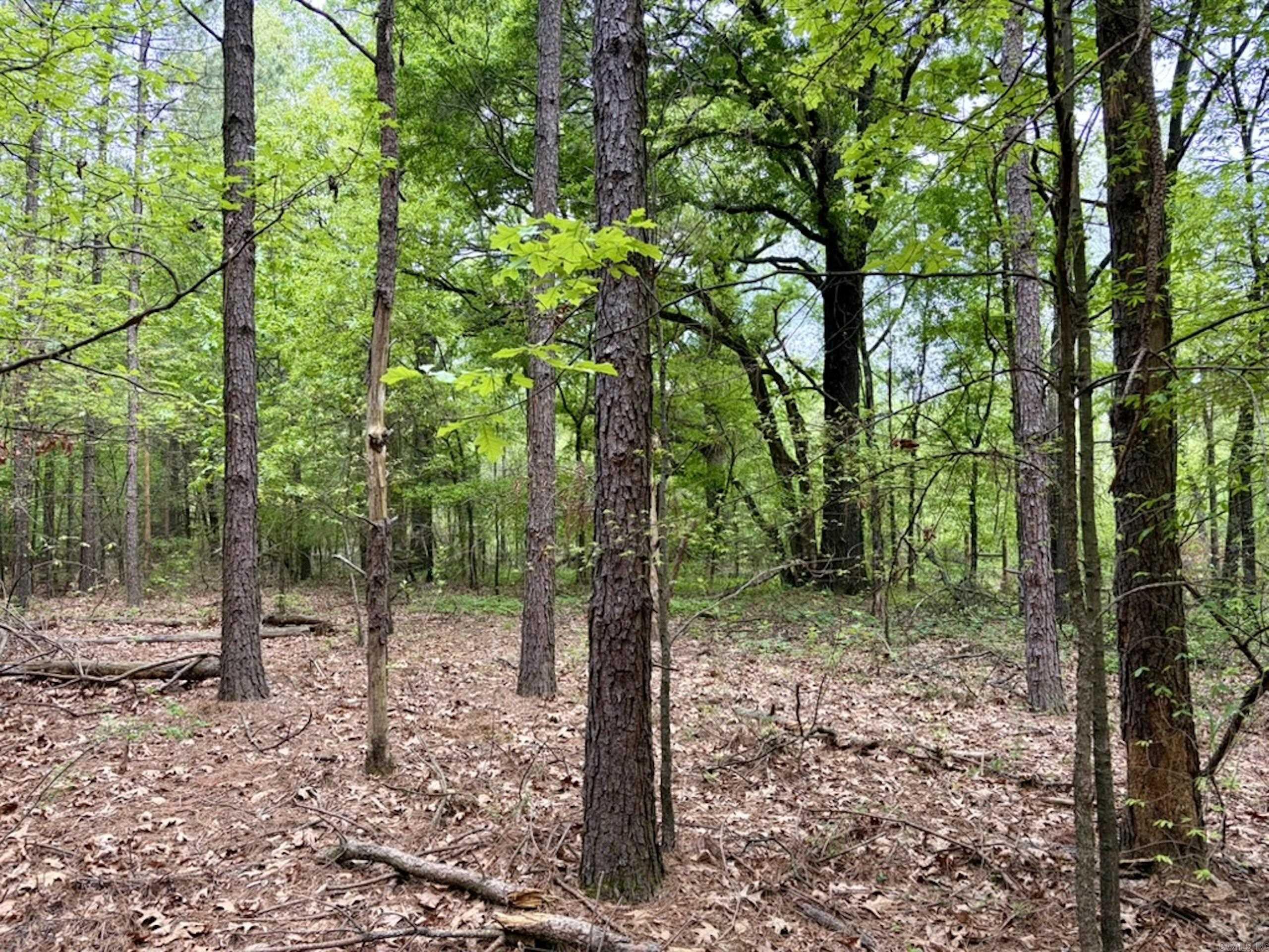 003 Drag Strip Road  Dardanelle, AR