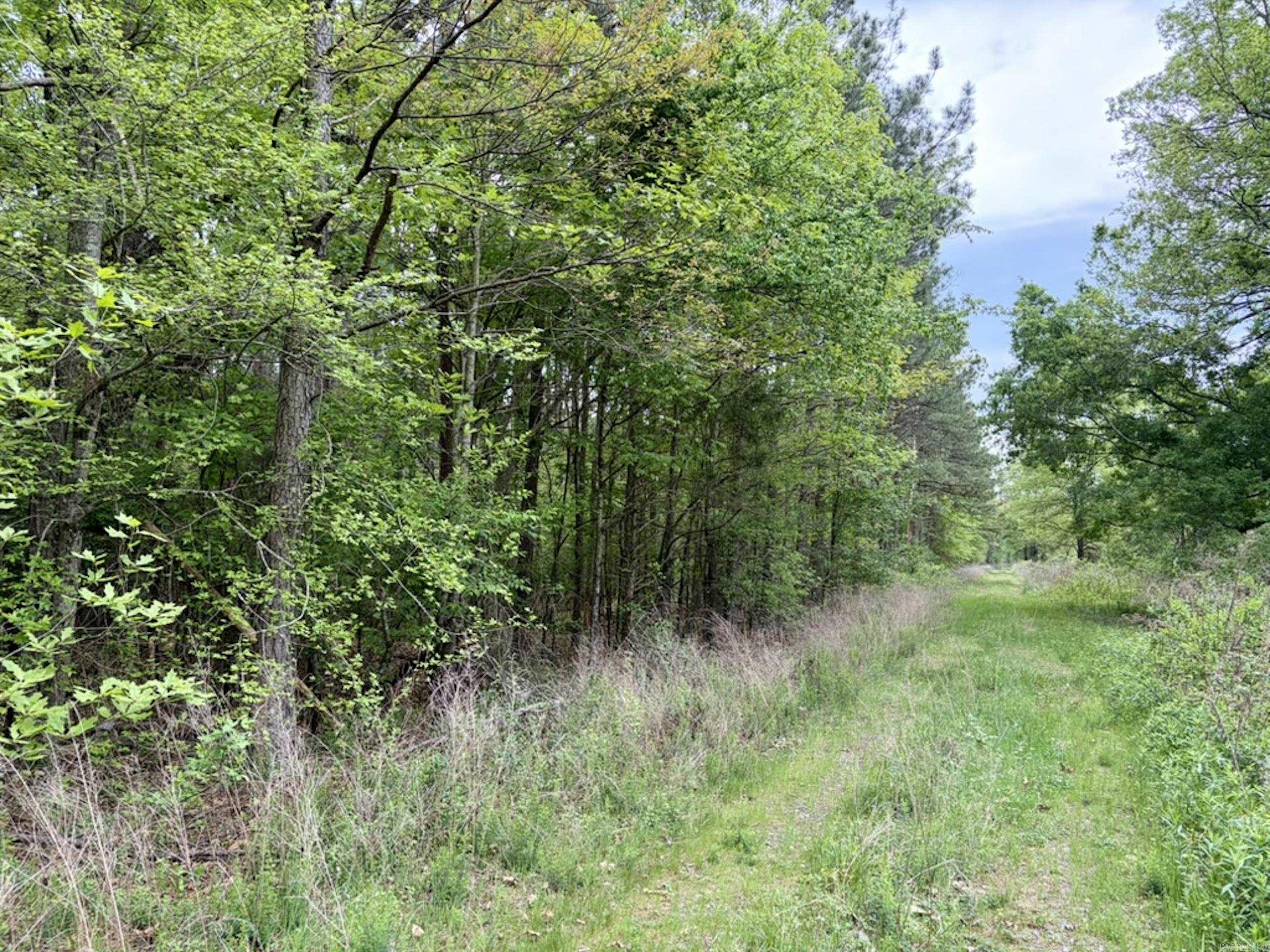 003 Drag Strip Road  Dardanelle, AR