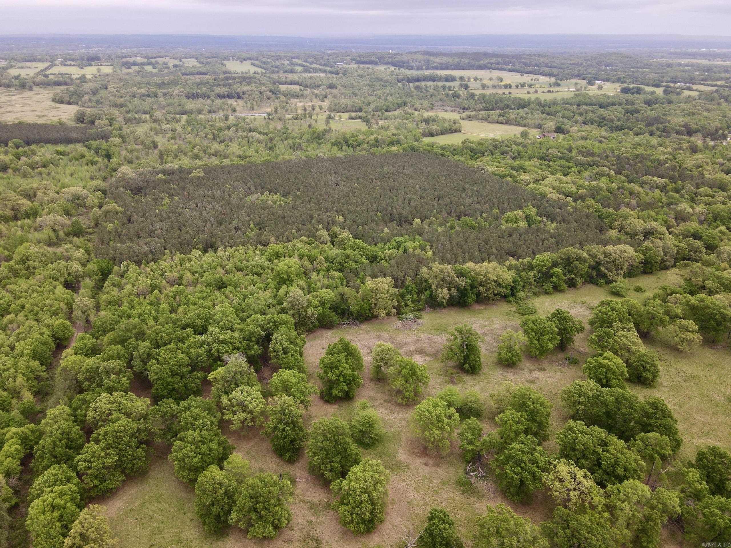 003 Drag Strip Road  Dardanelle, AR