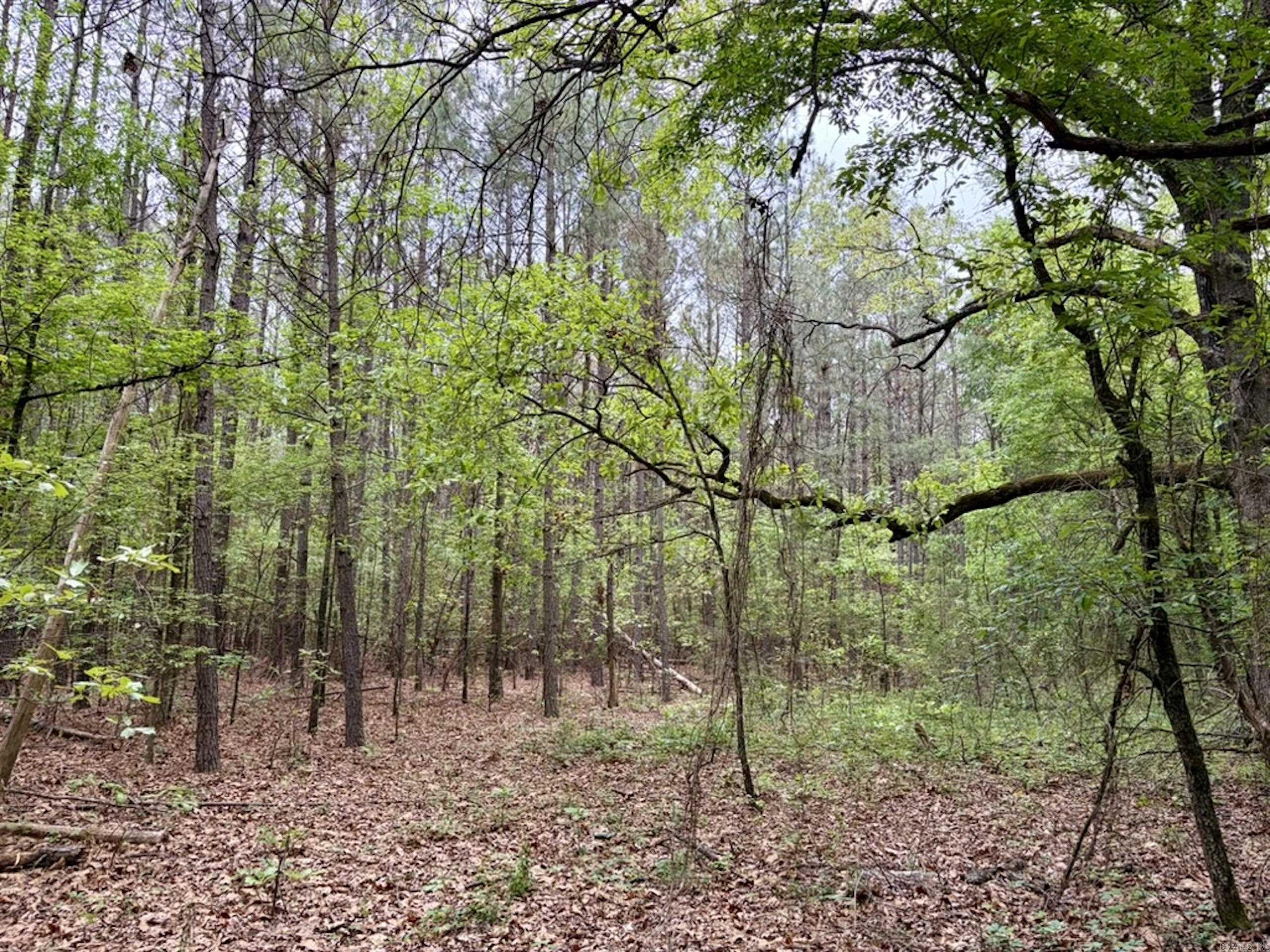 003 Drag Strip Road  Dardanelle, AR