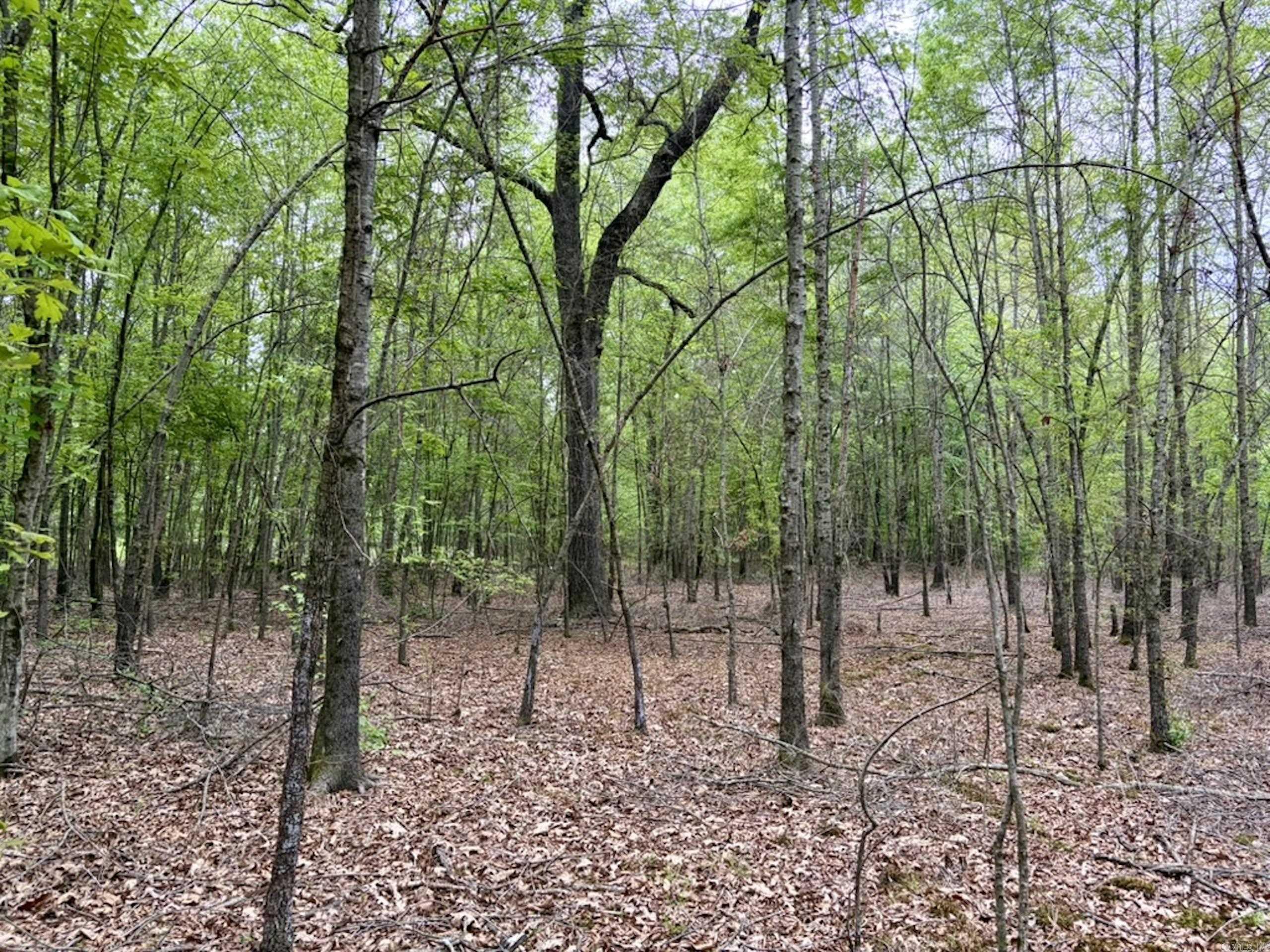 003 Drag Strip Road  Dardanelle, AR