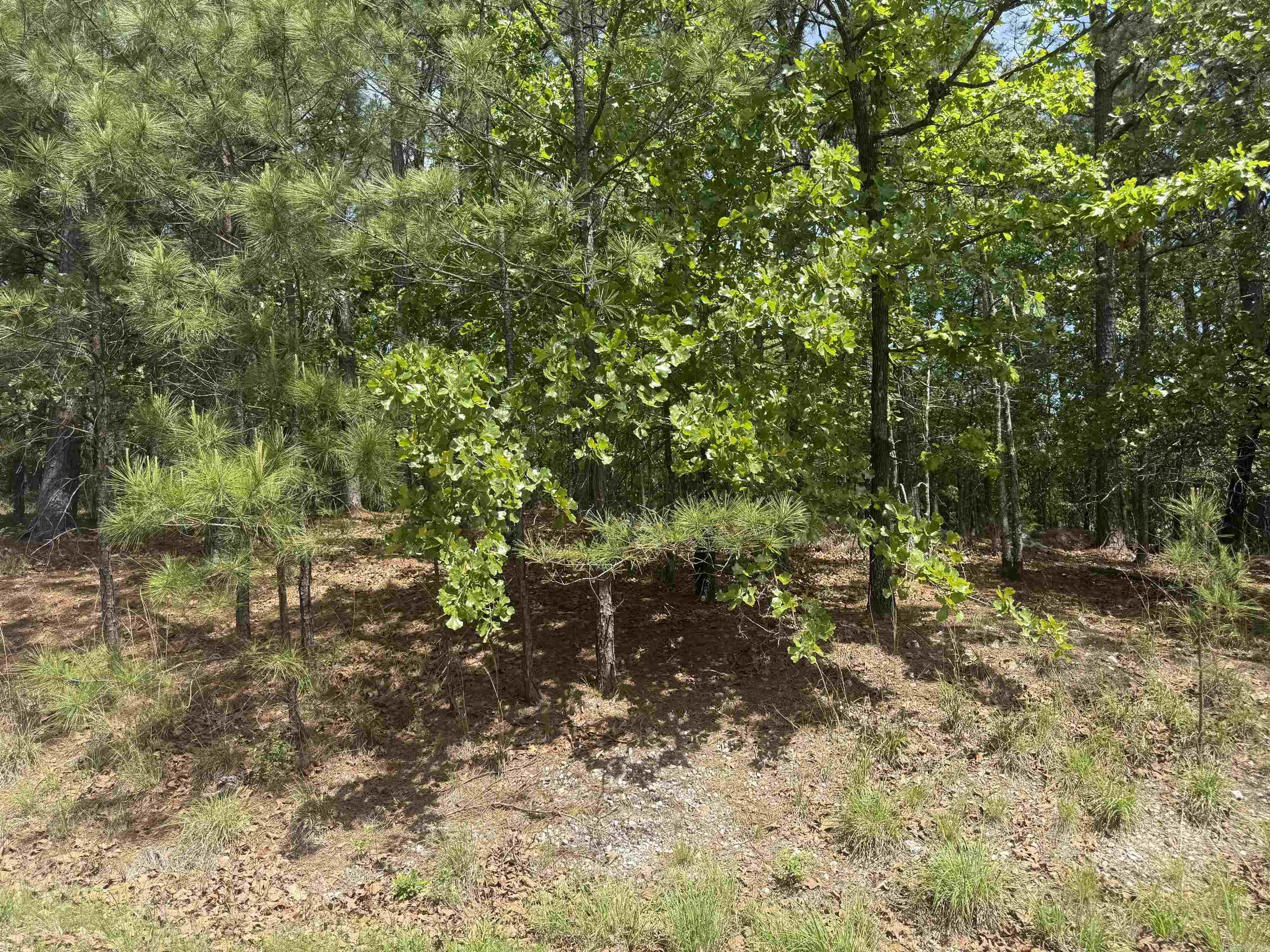 53 Altiplano  Hot Springs Village, AR