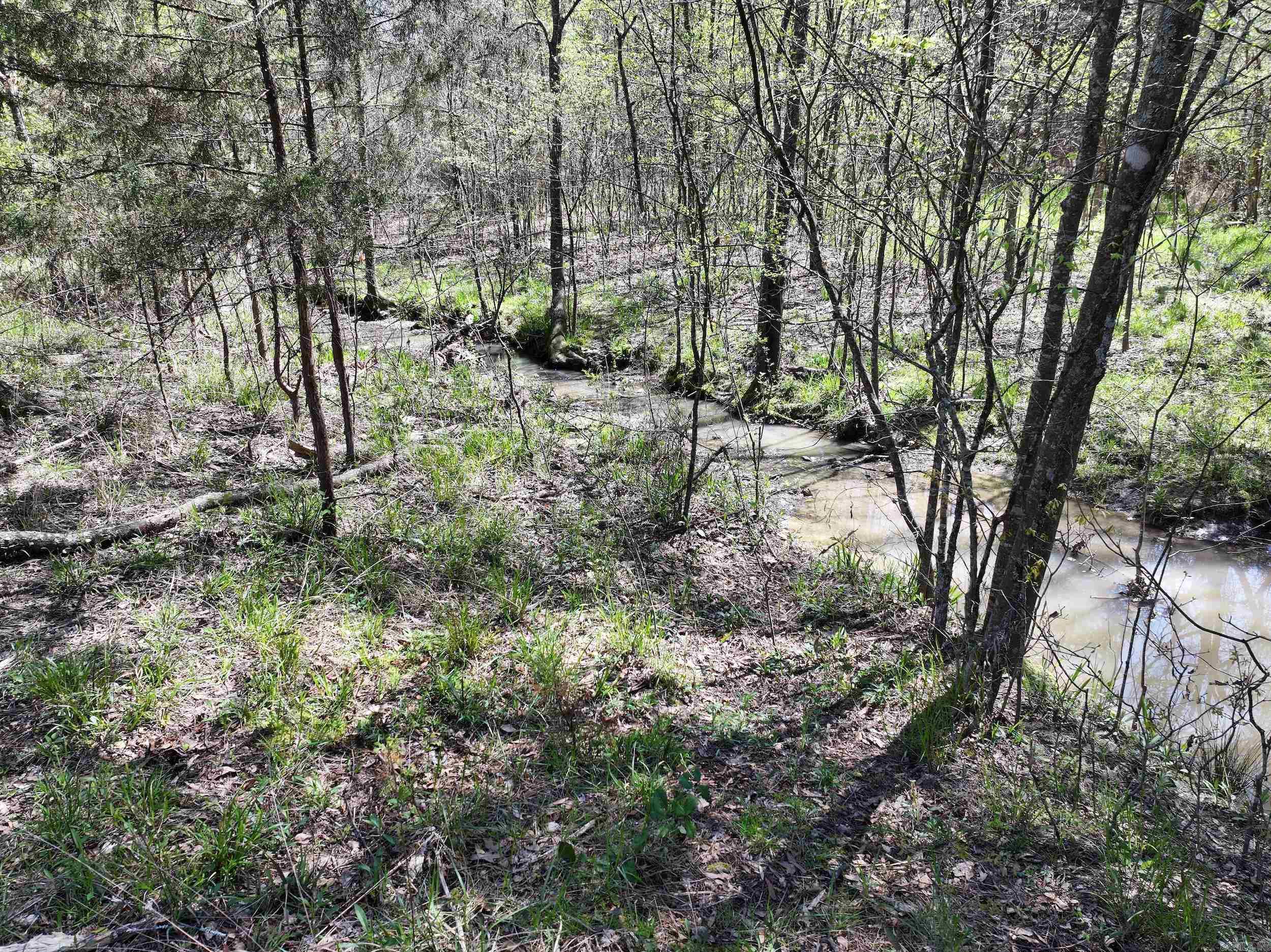 TBD Bean  Glenwood, AR