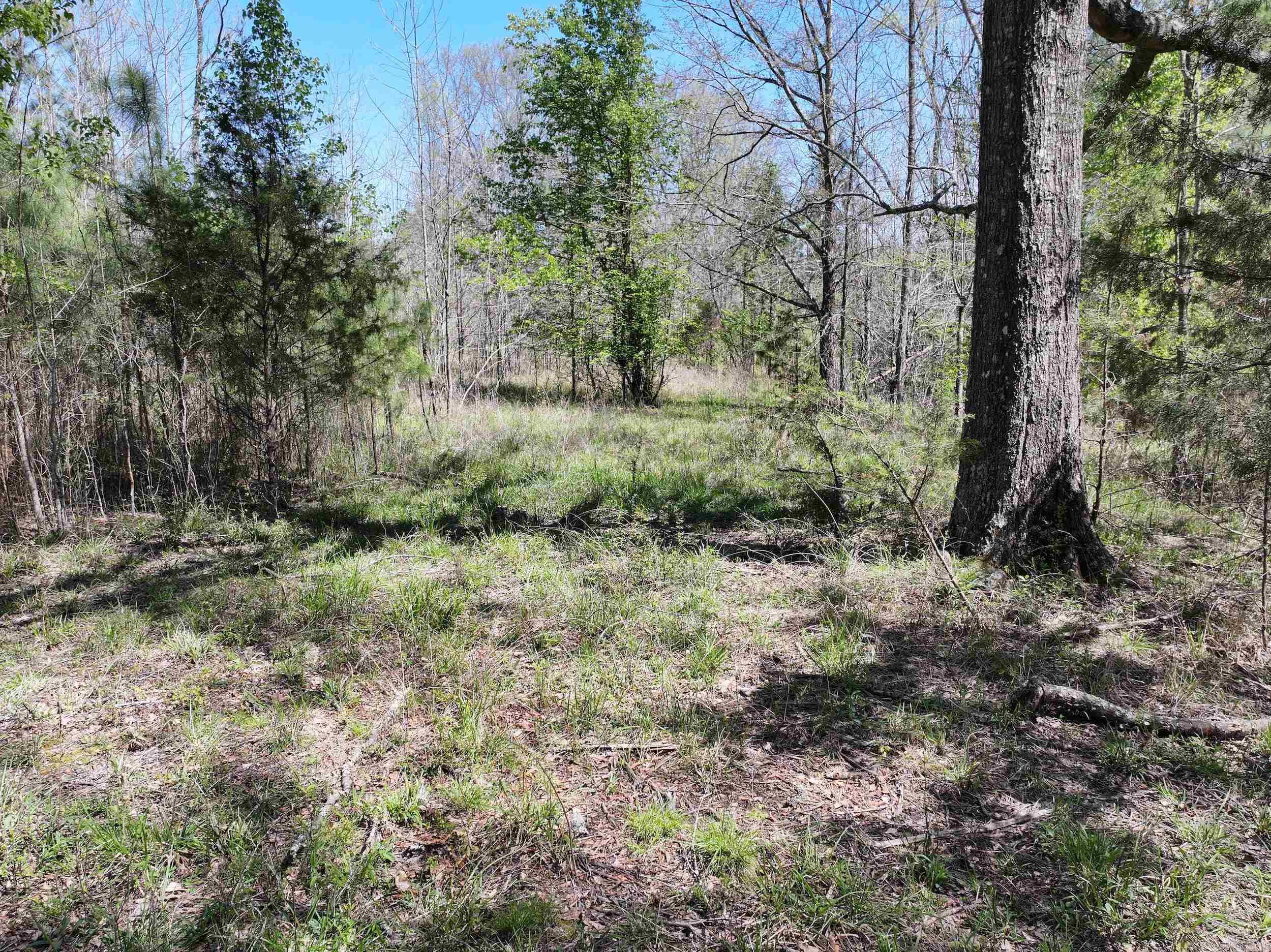 TBD Bean  Glenwood, AR