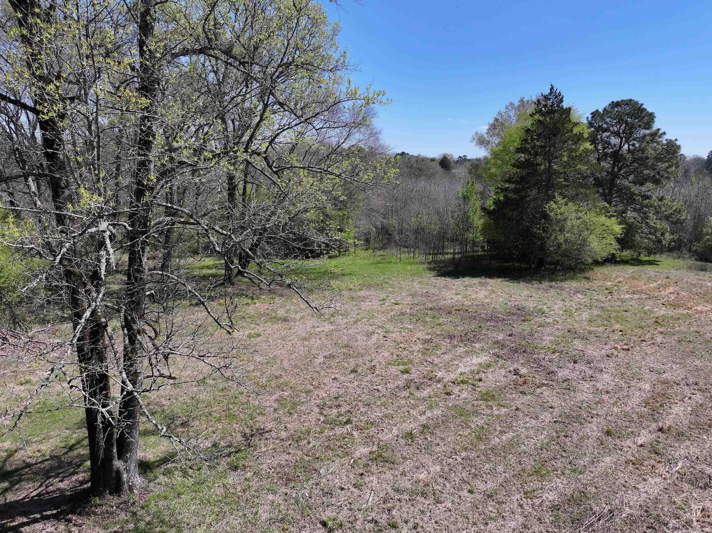 TBD Bean  Glenwood, AR