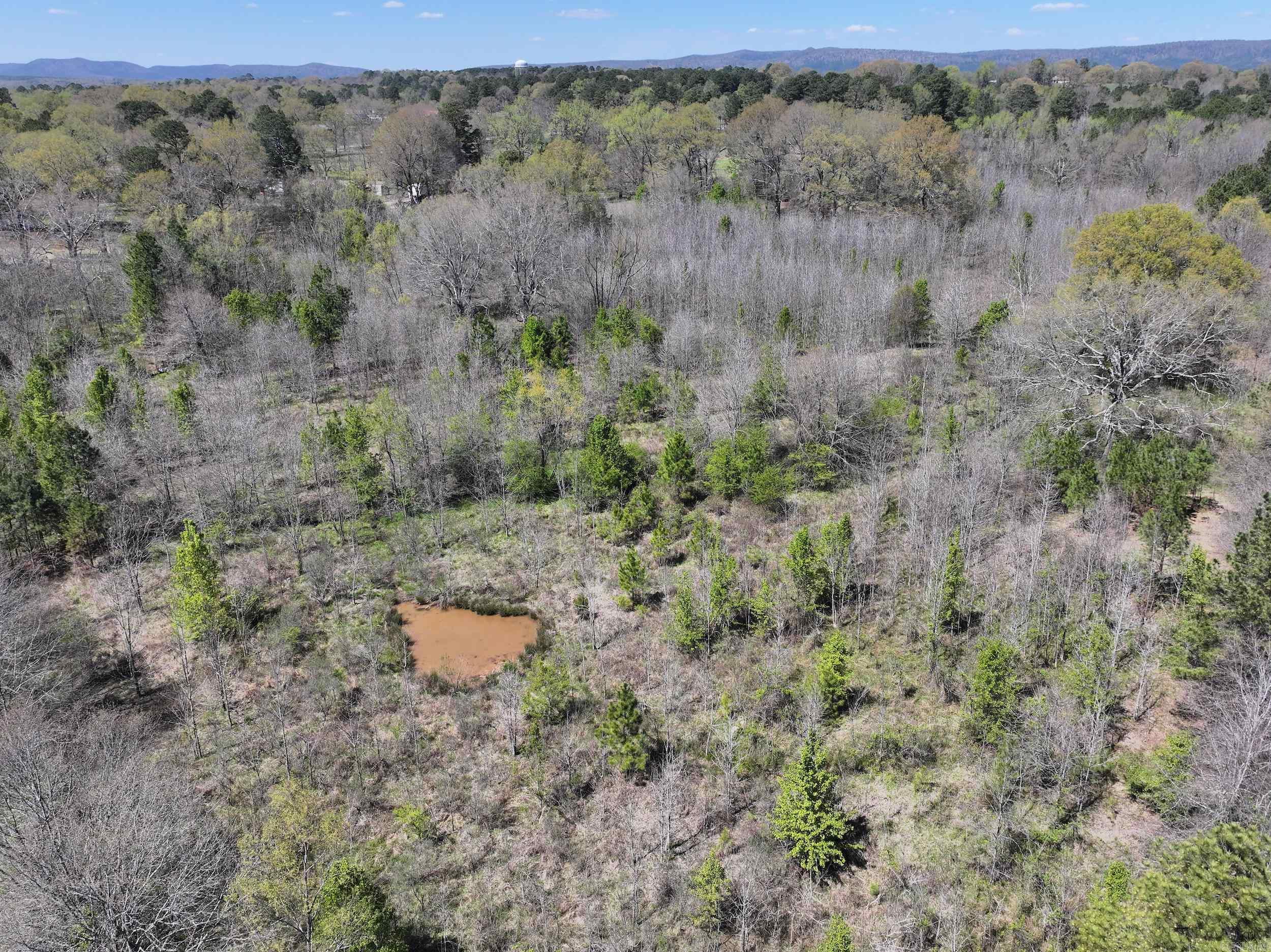 TBD Bean  Glenwood, AR