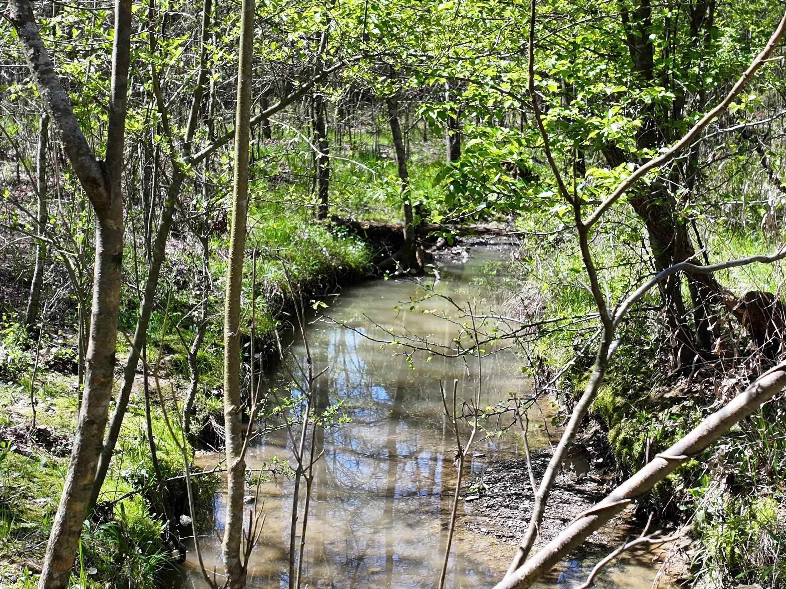 TBD Bean  Glenwood, AR