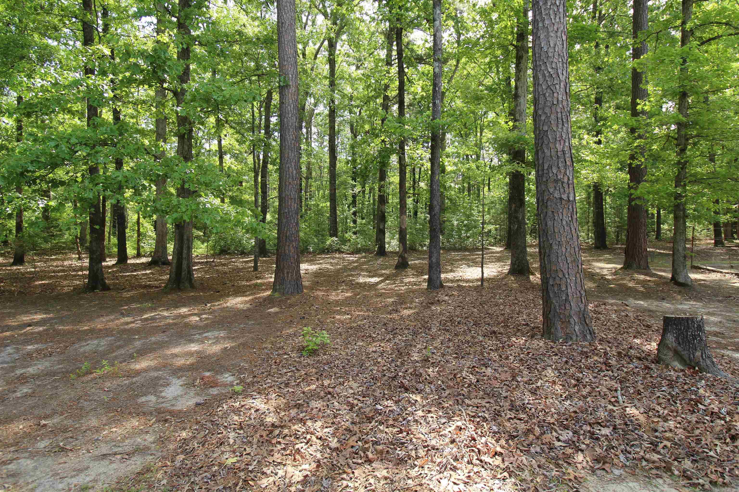 35 Grant County Road 737  Sheridan, AR