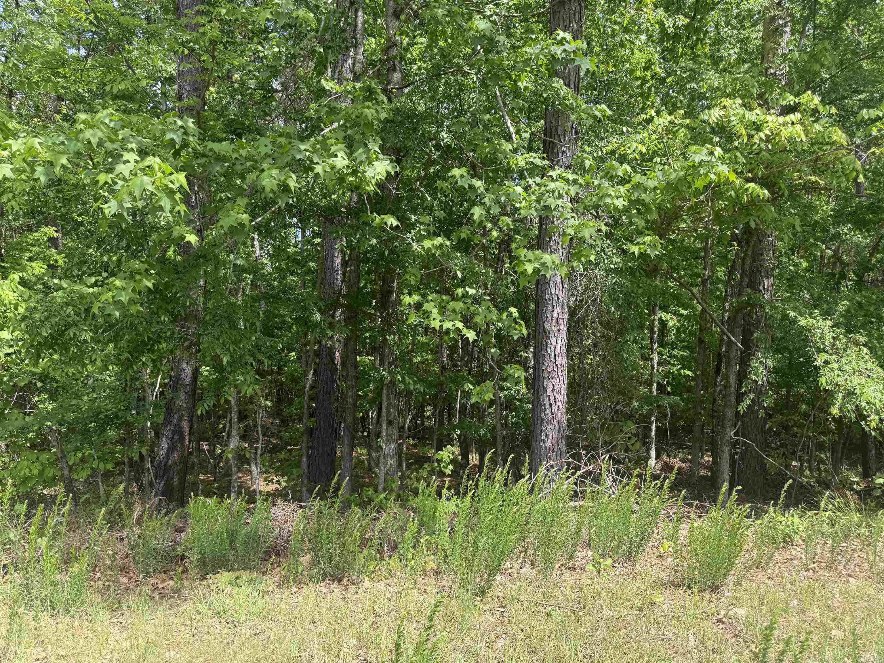 33 Gusta  Hot Springs Village, AR