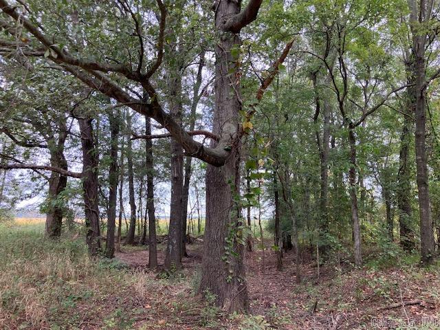 TBD Cox Rd.  Biggers, AR