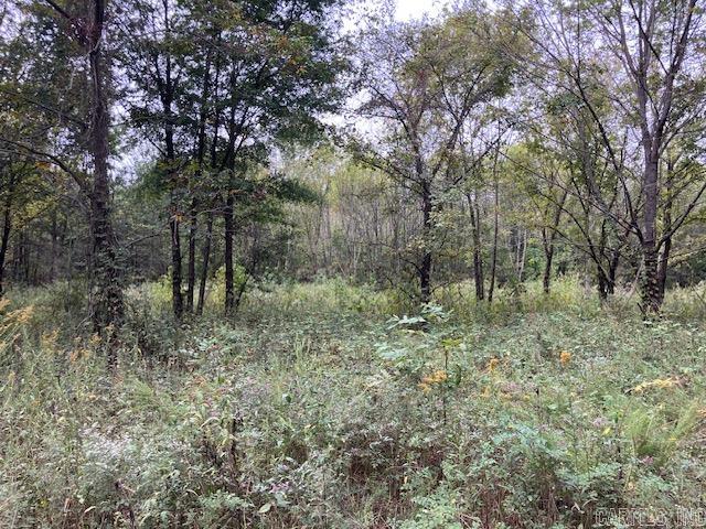 TBD Cox Rd.  Biggers, AR