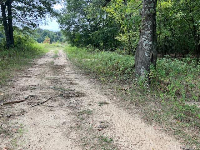 TBD Cox Rd.  Biggers, AR