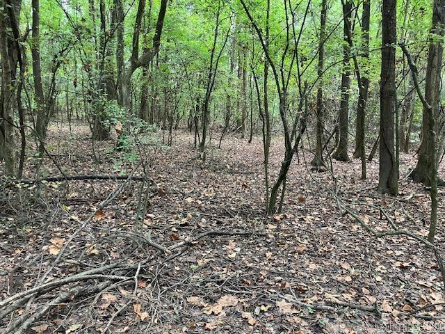 TBD Cox Rd.  Biggers, AR