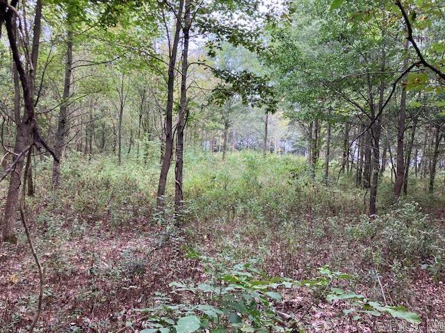 TBD Cox Rd.  Biggers, AR