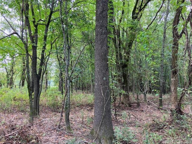 TBD Cox Rd.  Biggers, AR