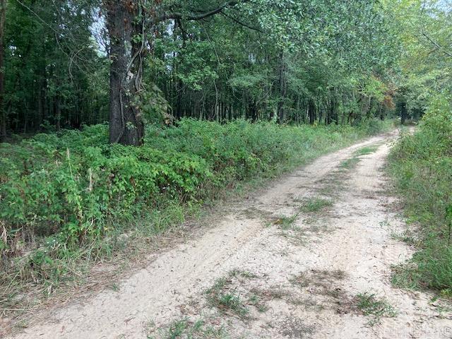 TBD Cox Rd.  Biggers, AR