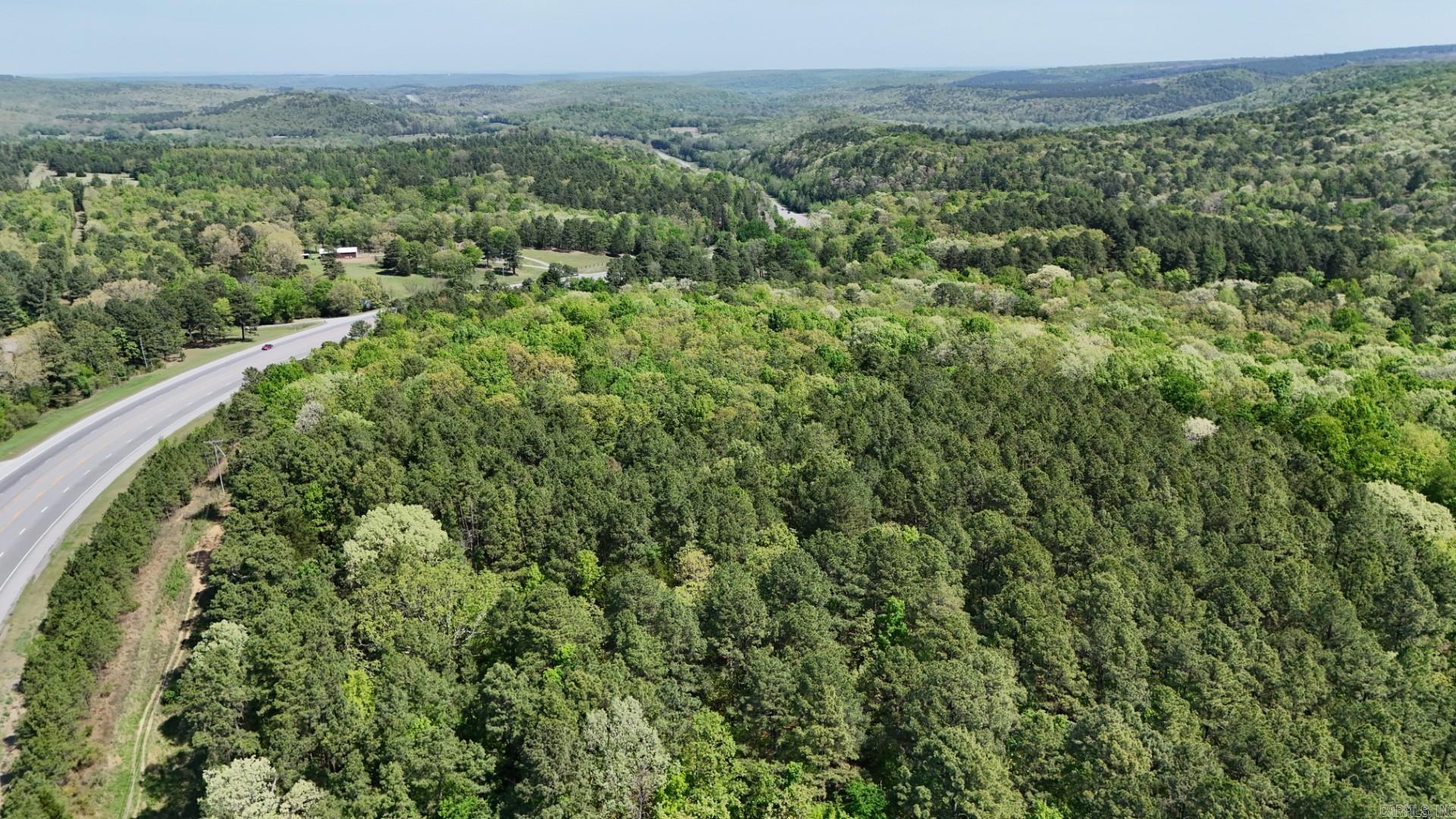  Batesville Blvd  Pleasant Plains, AR