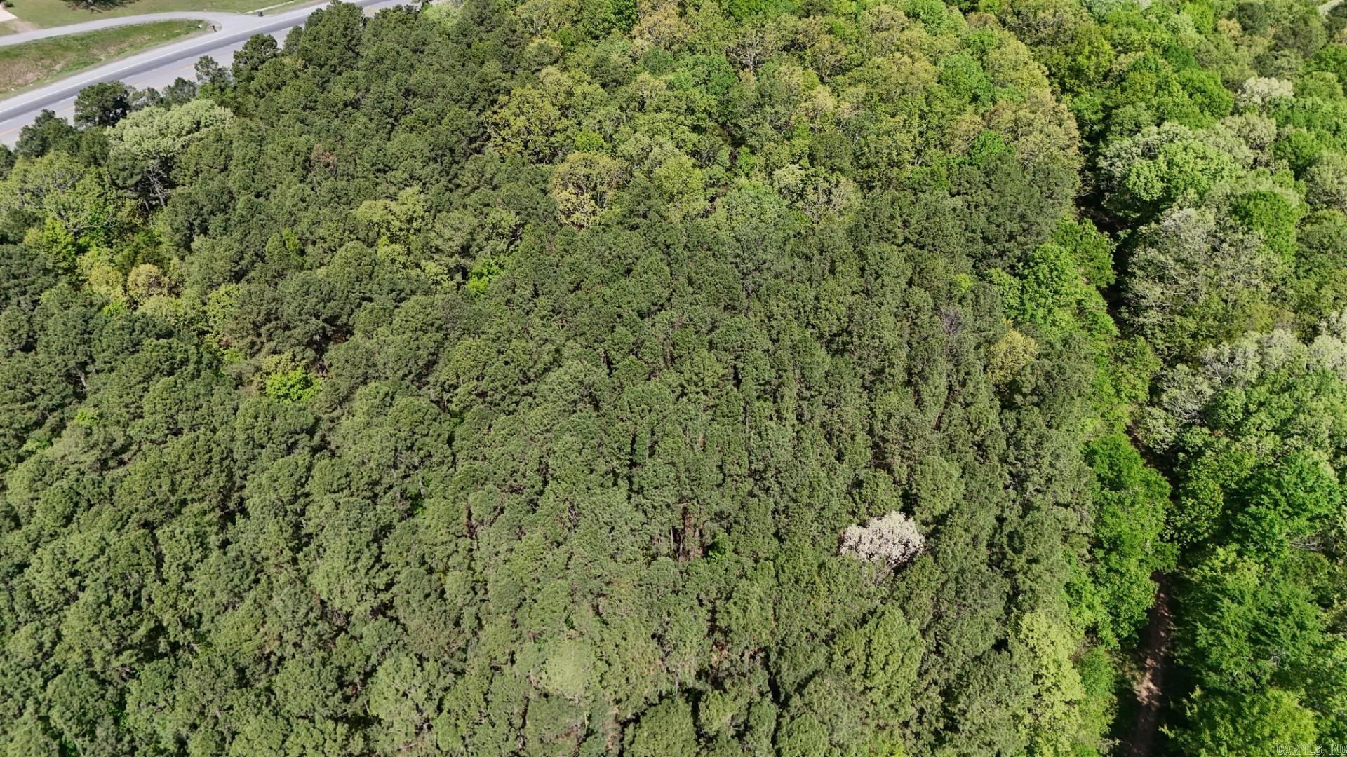  Batesville Blvd  Pleasant Plains, AR