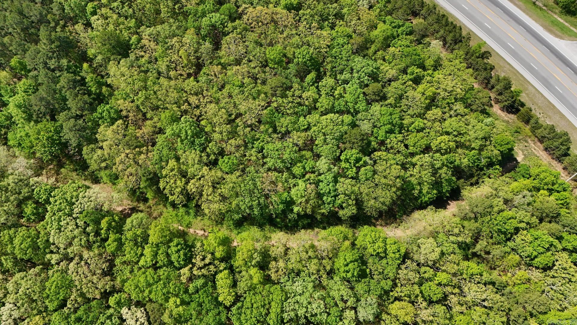  Batesville Blvd  Pleasant Plains, AR