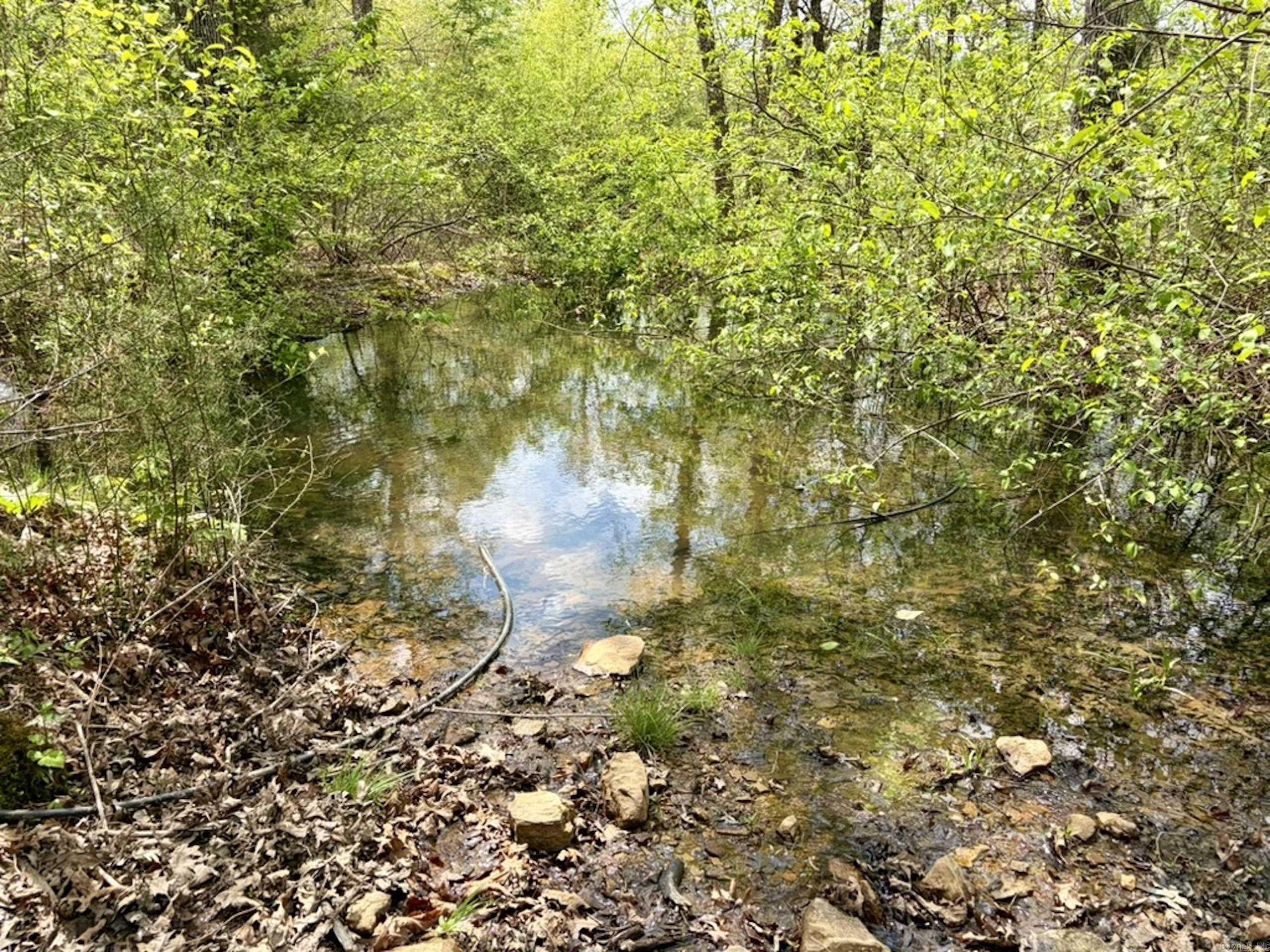 000 Rex Road  Scotland, AR