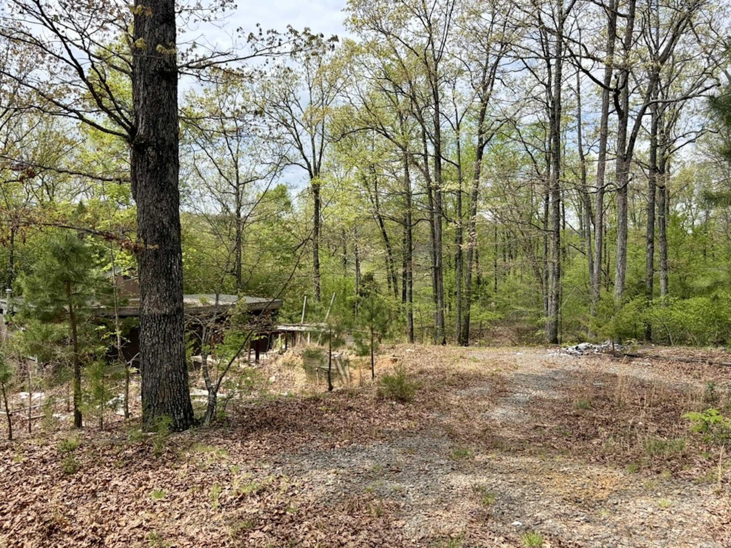 000 Rex Road  Scotland, AR