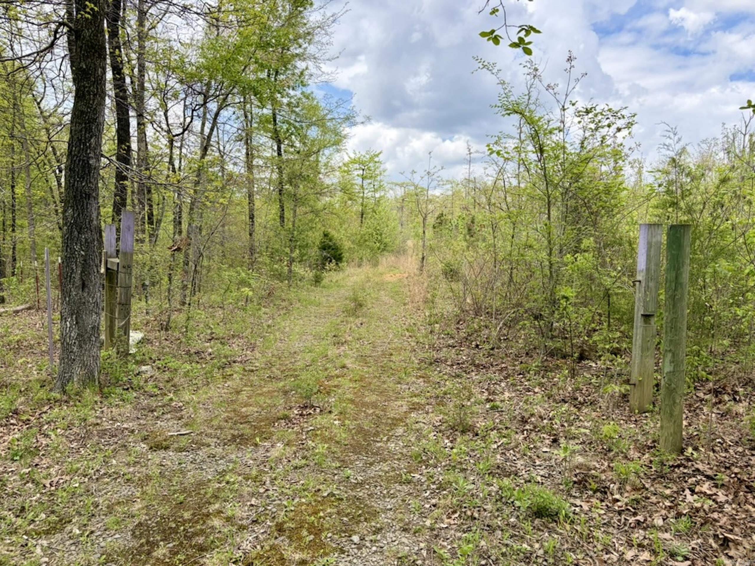 000 Rex Road  Scotland, AR