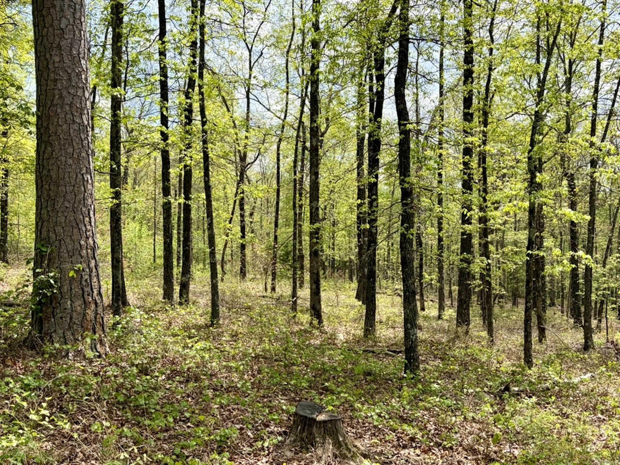 000 Rex Road  Scotland, AR