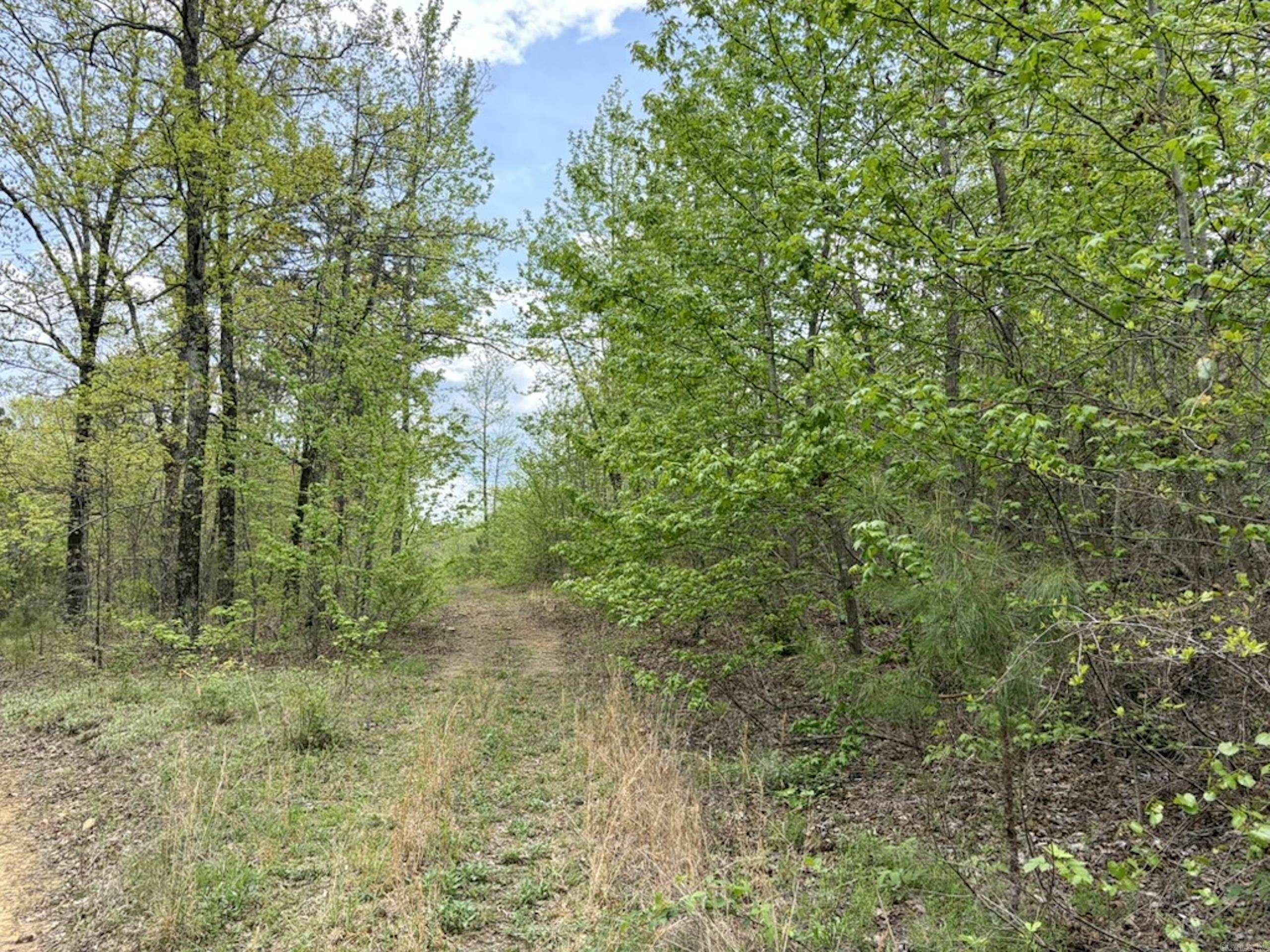 000 Rex Road  Scotland, AR