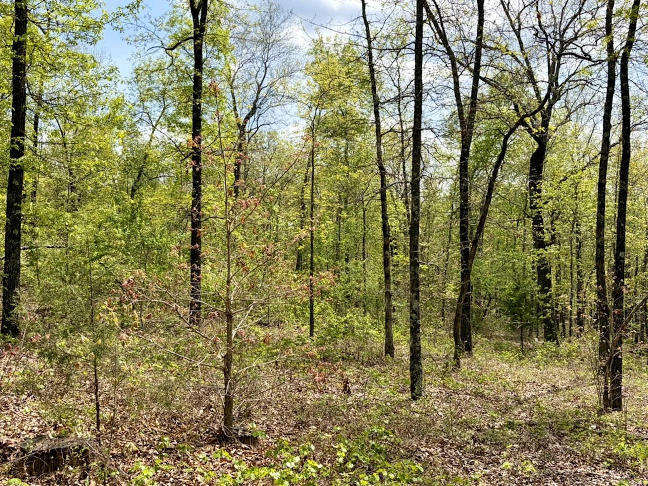 000 Rex Road  Scotland, AR