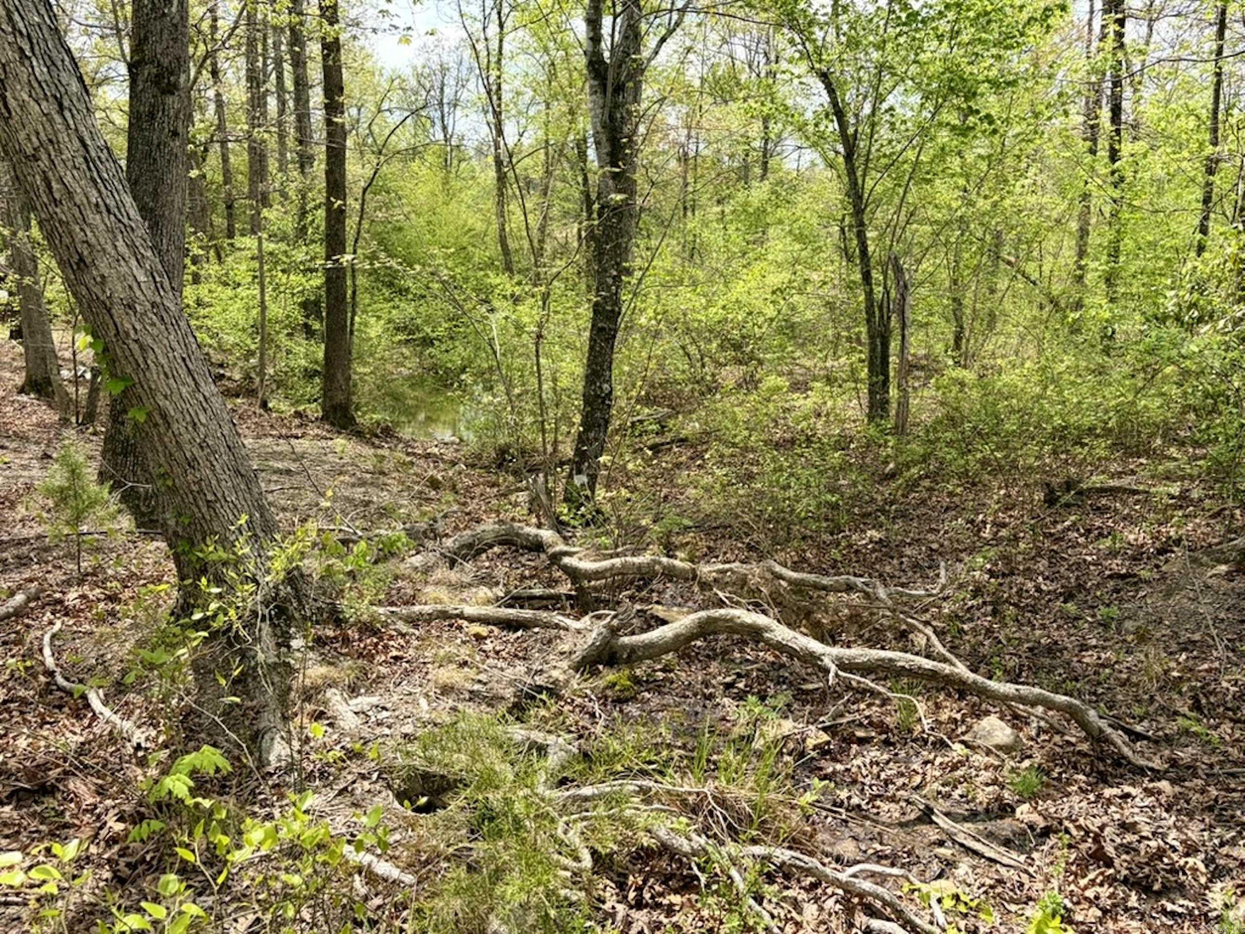 000 Rex Road  Scotland, AR