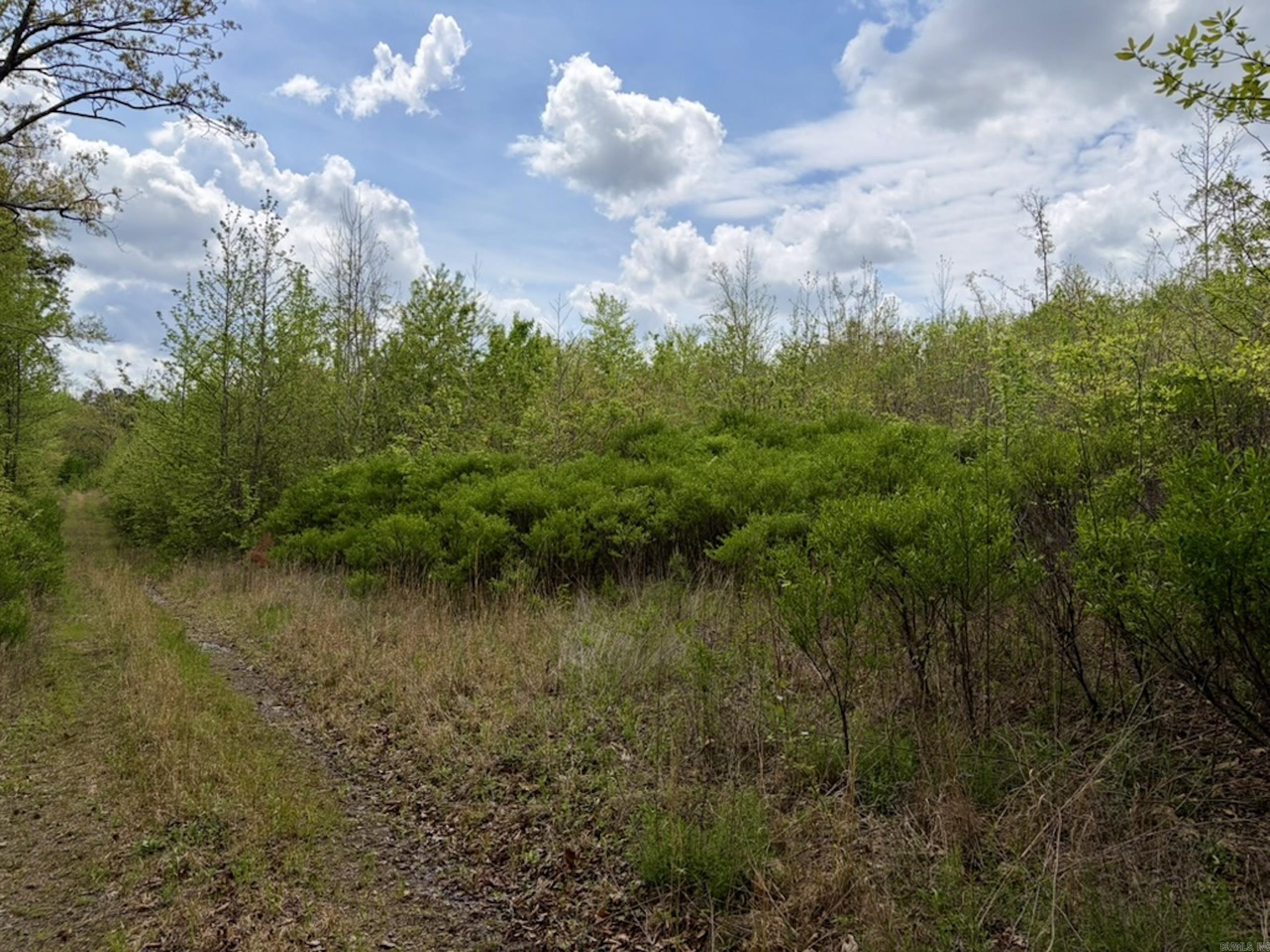 000 Rex Road  Scotland, AR