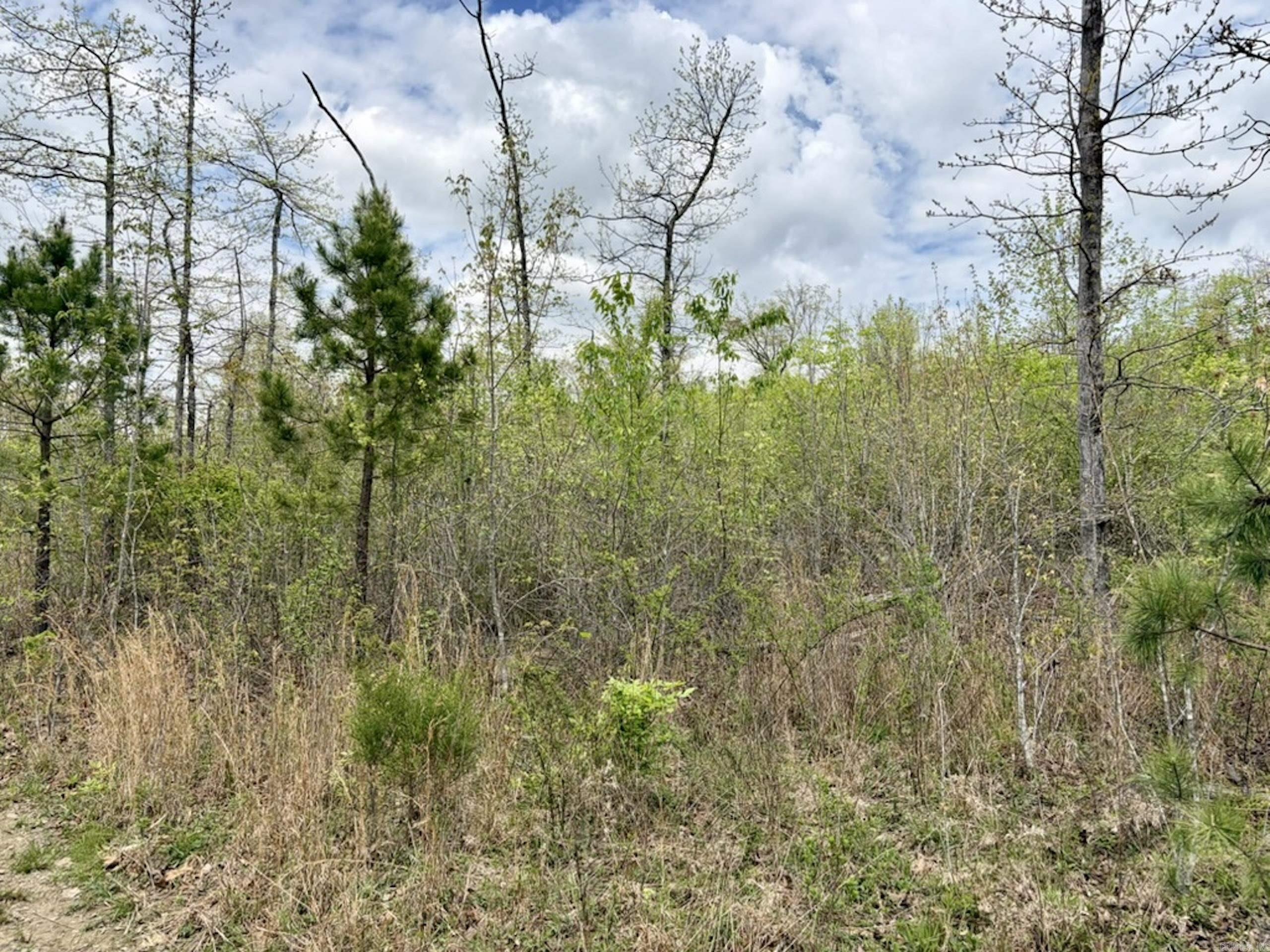 000 Rex Road  Scotland, AR