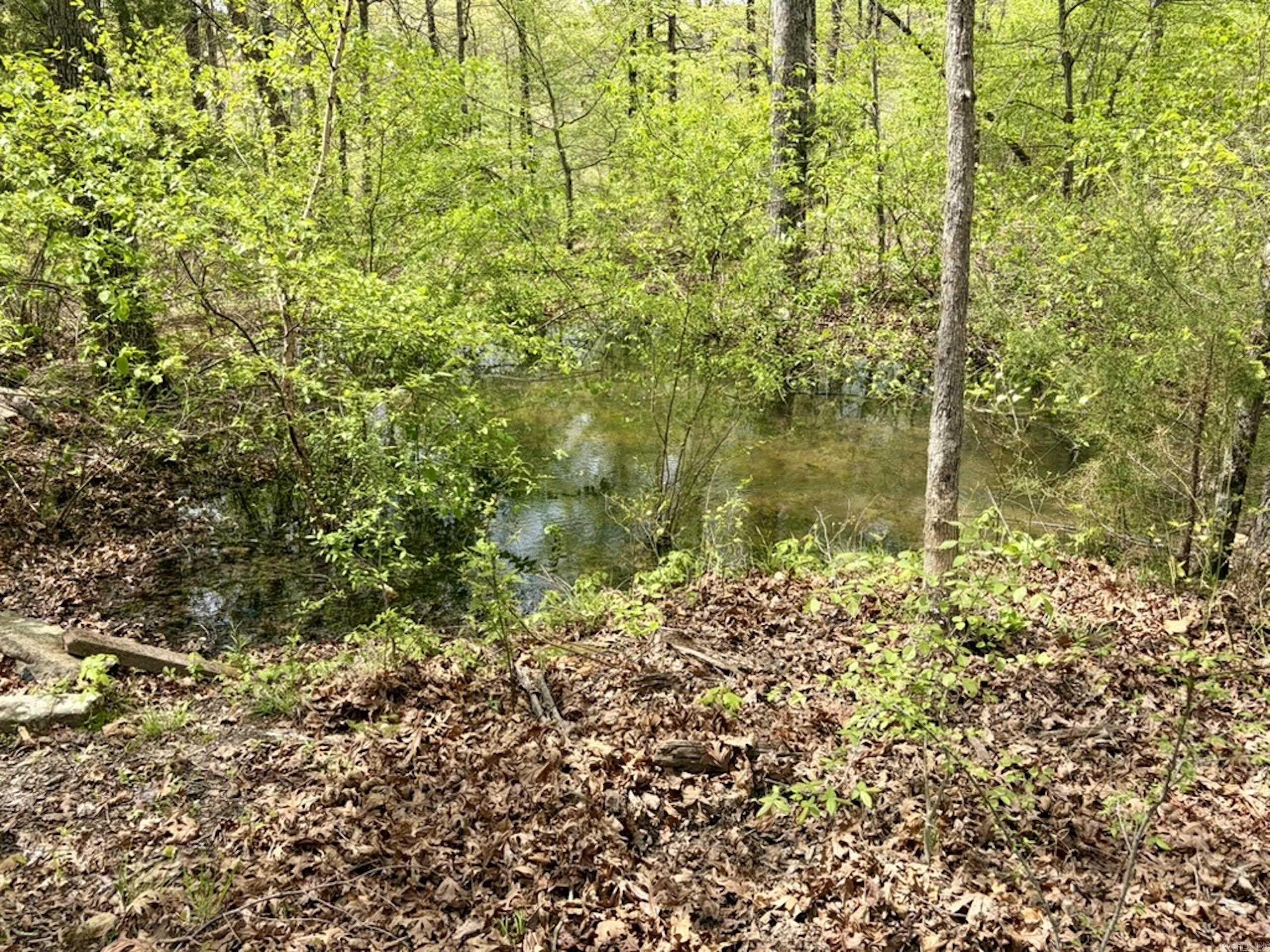 000 Rex Road  Scotland, AR