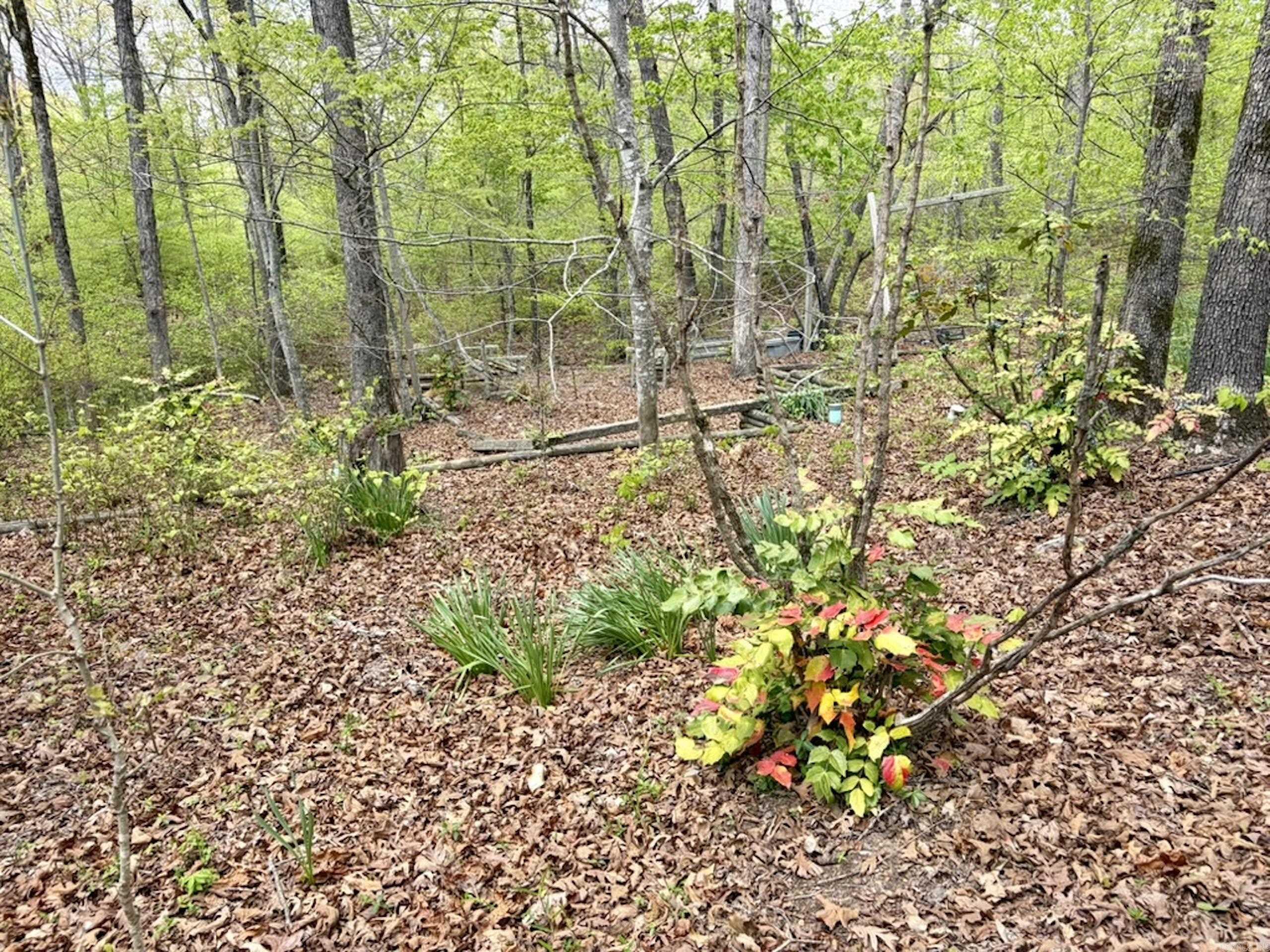 000 Rex Road  Scotland, AR