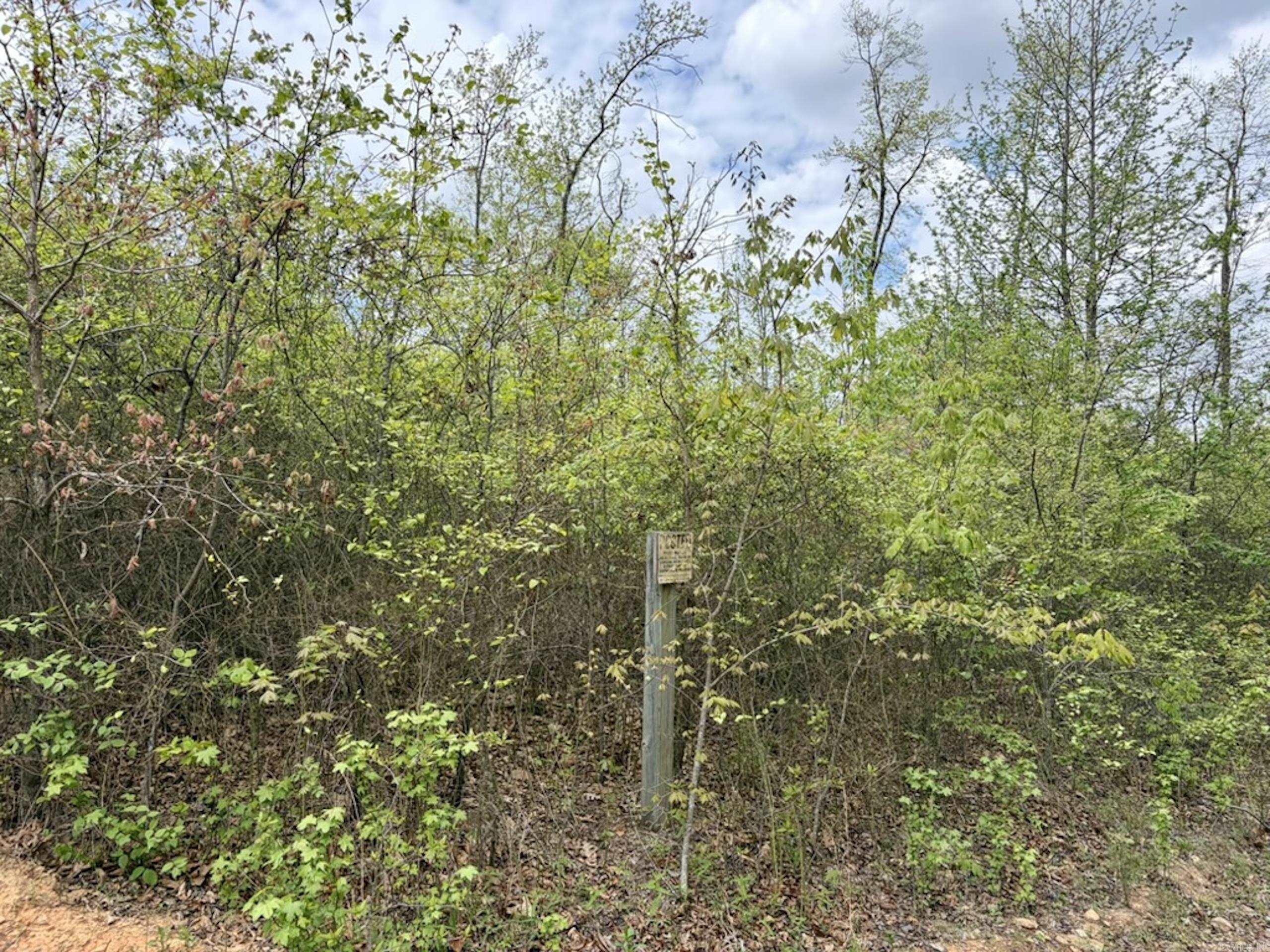 000 Rex Road  Scotland, AR