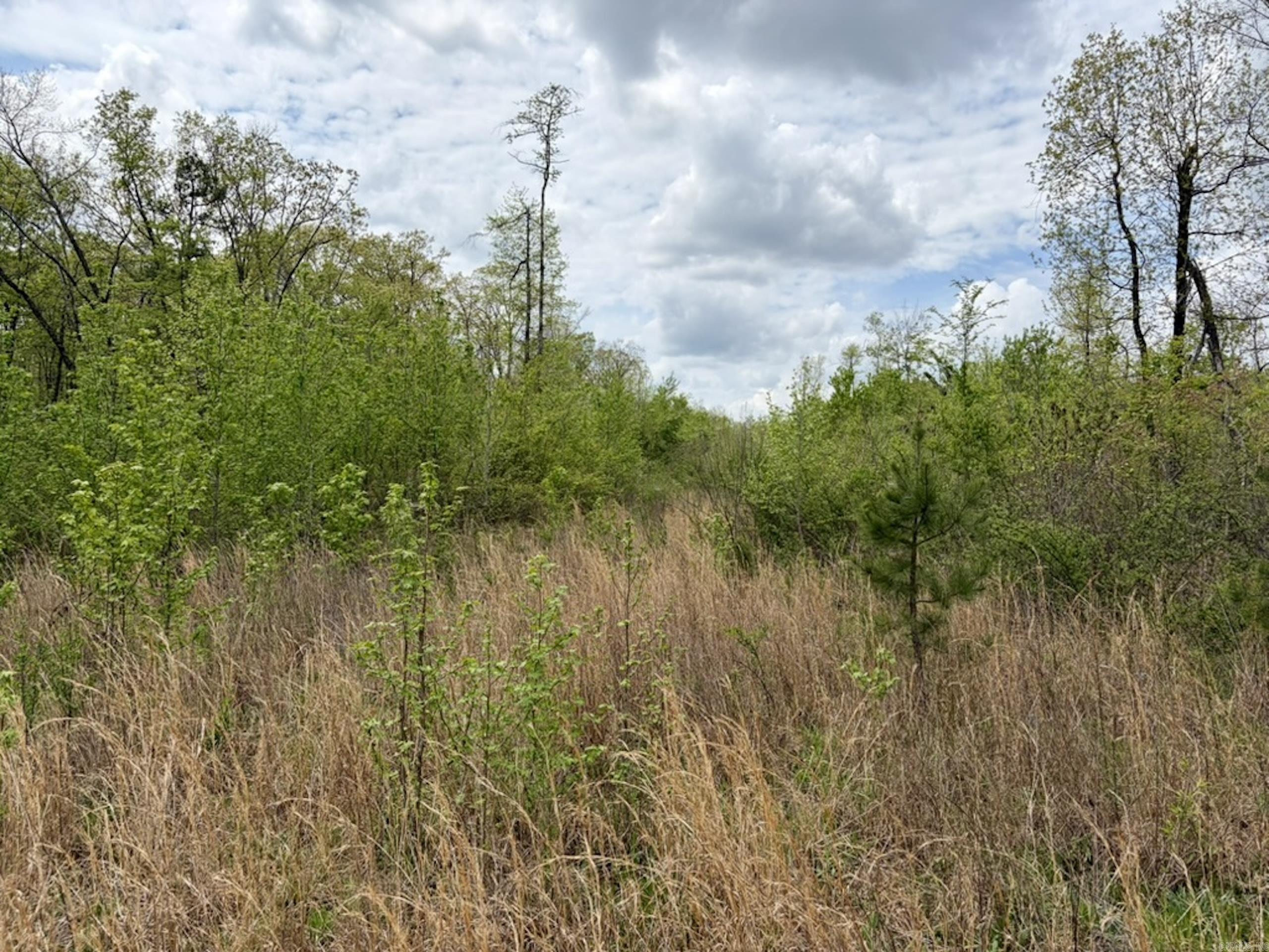 000 Rex Road  Scotland, AR