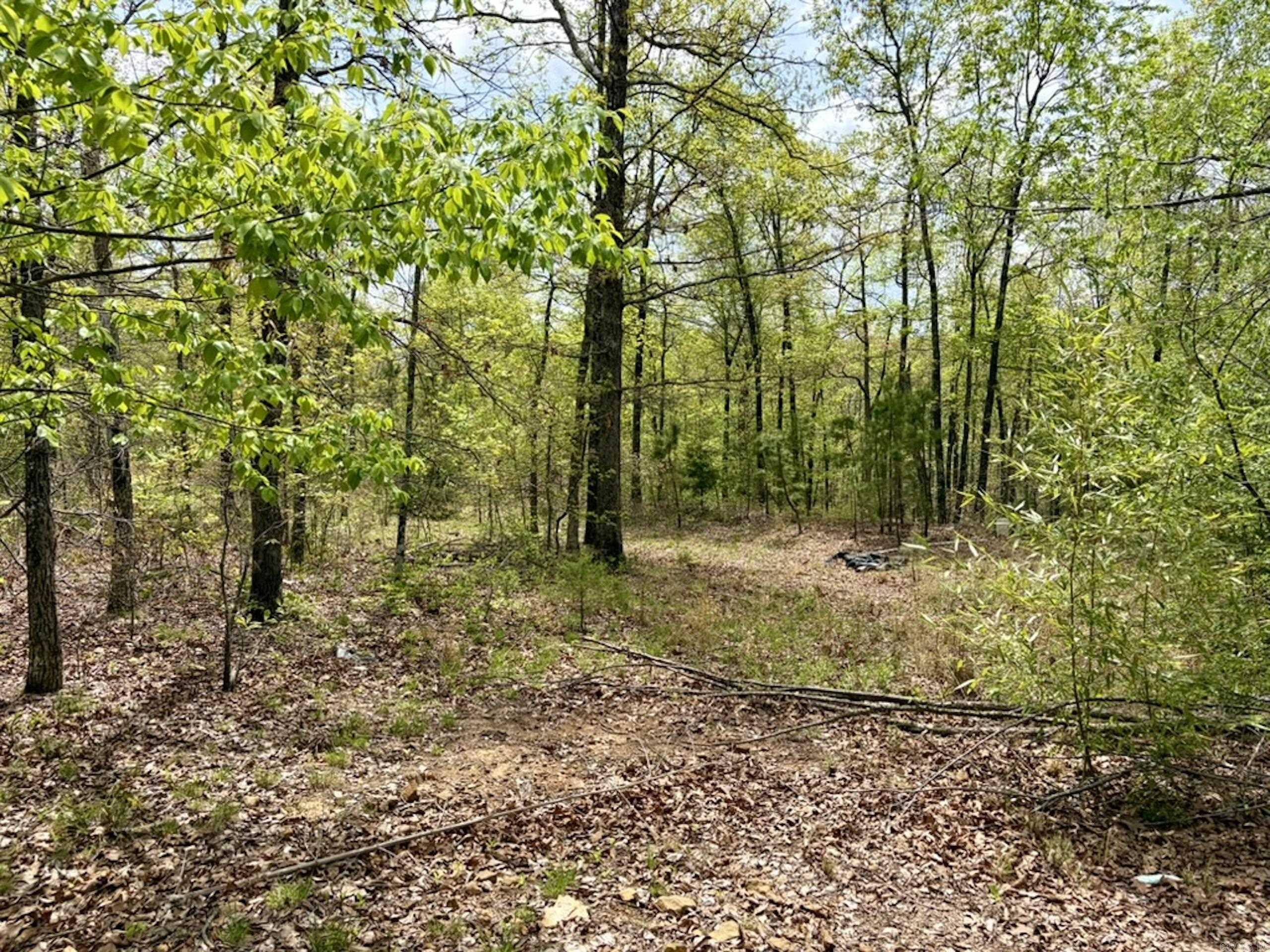 000 Rex Road  Scotland, AR