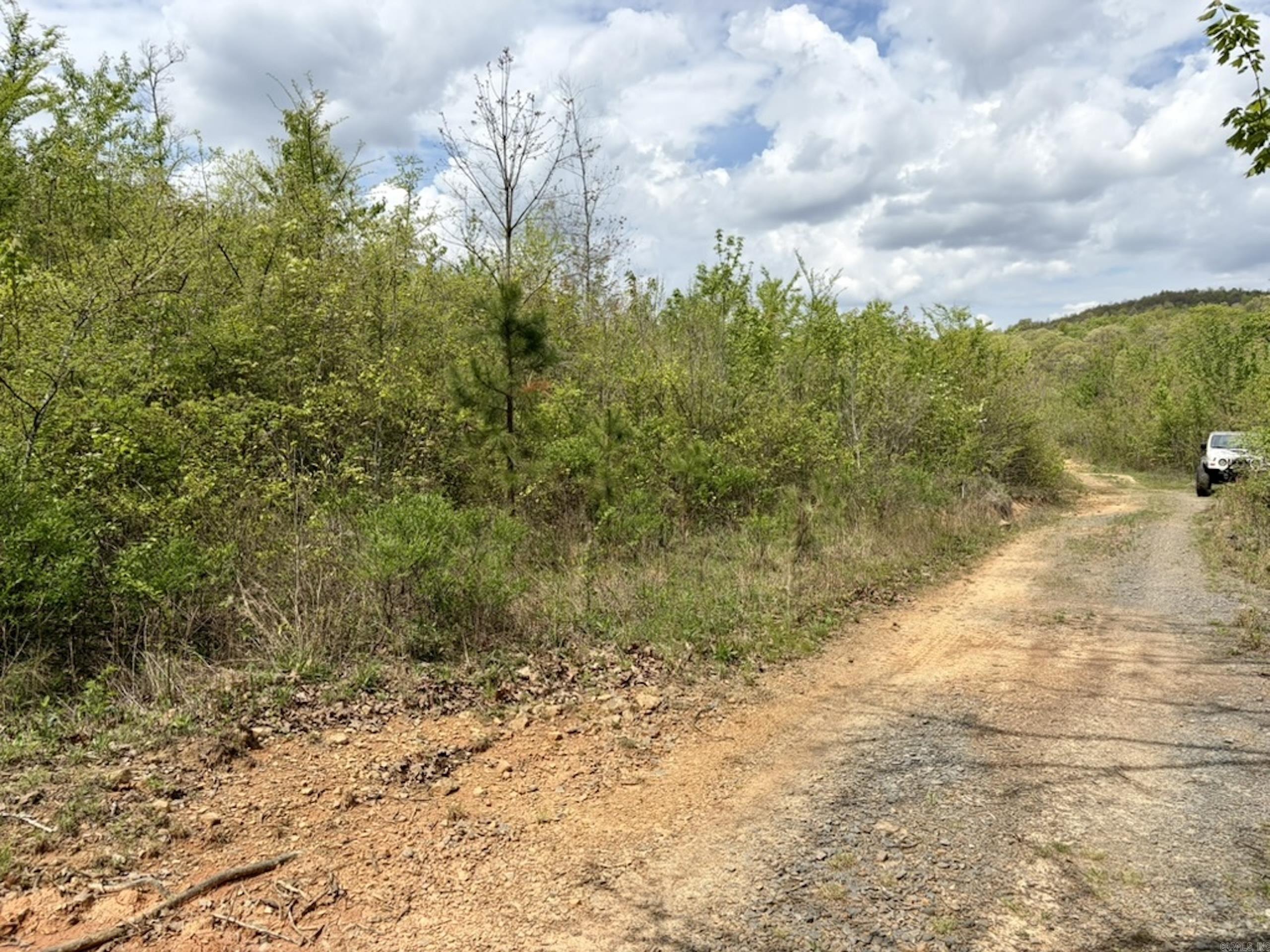 000 Rex Road  Scotland, AR