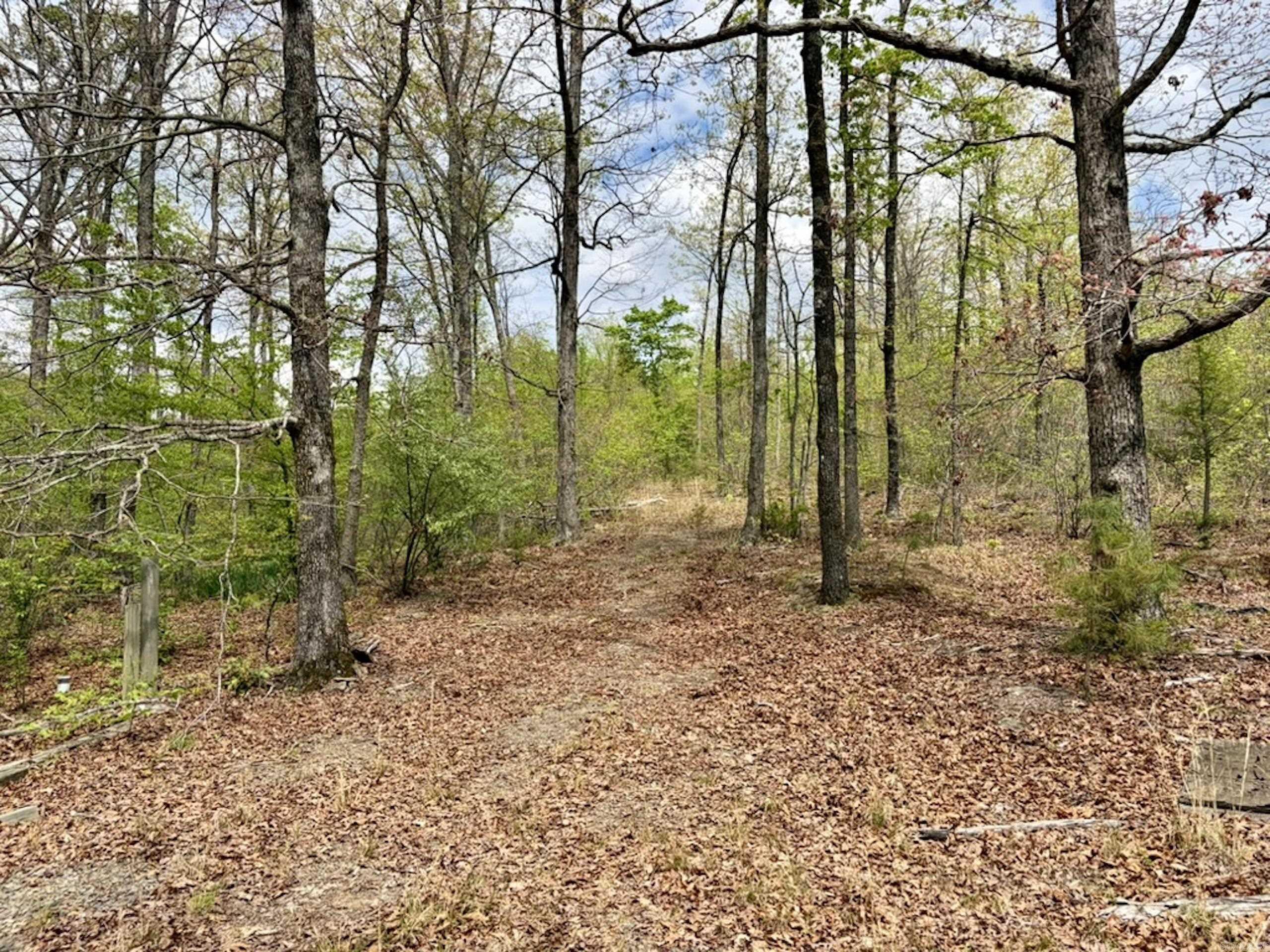 000 Rex Road  Scotland, AR