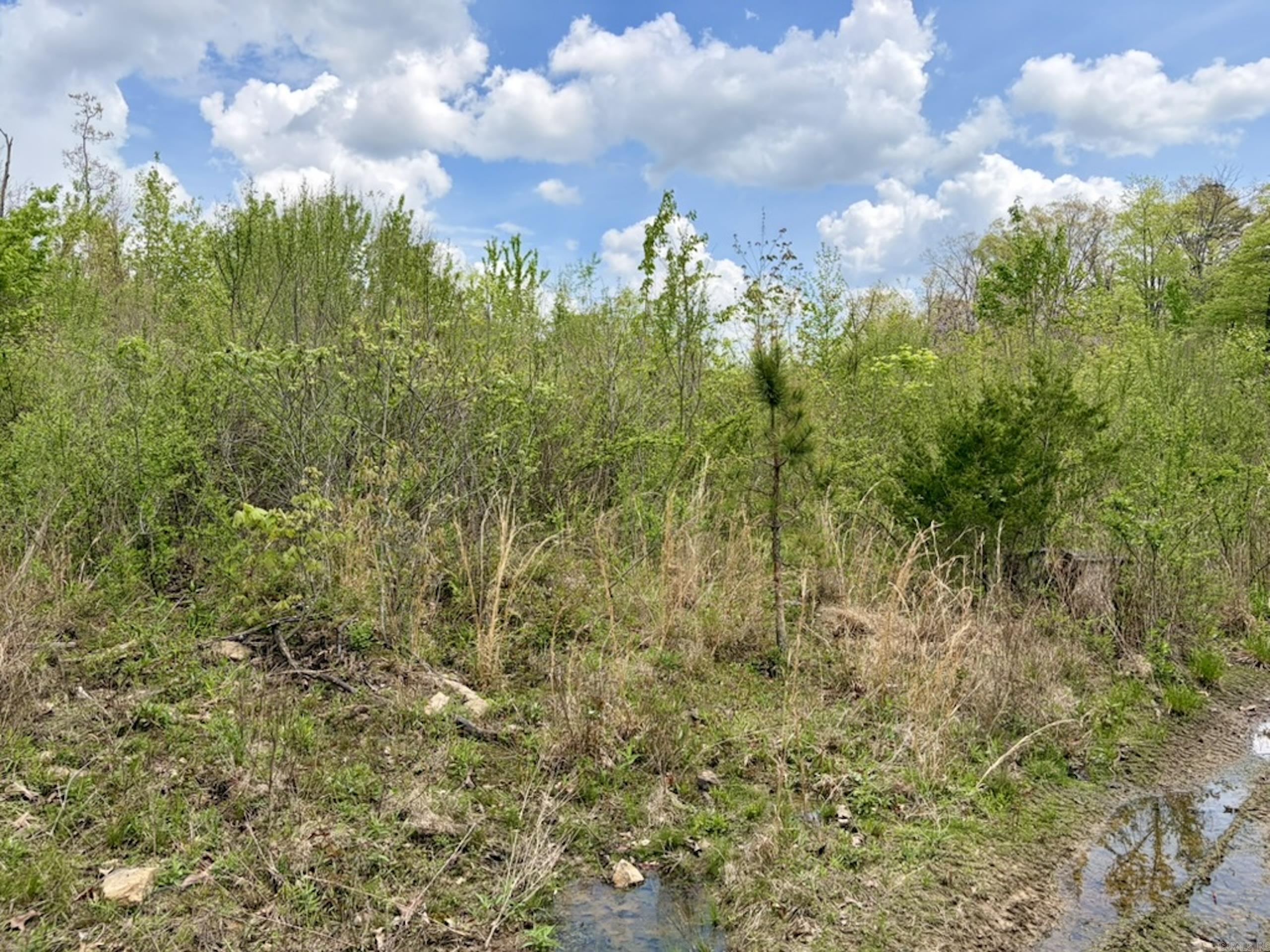 000 Rex Road  Scotland, AR