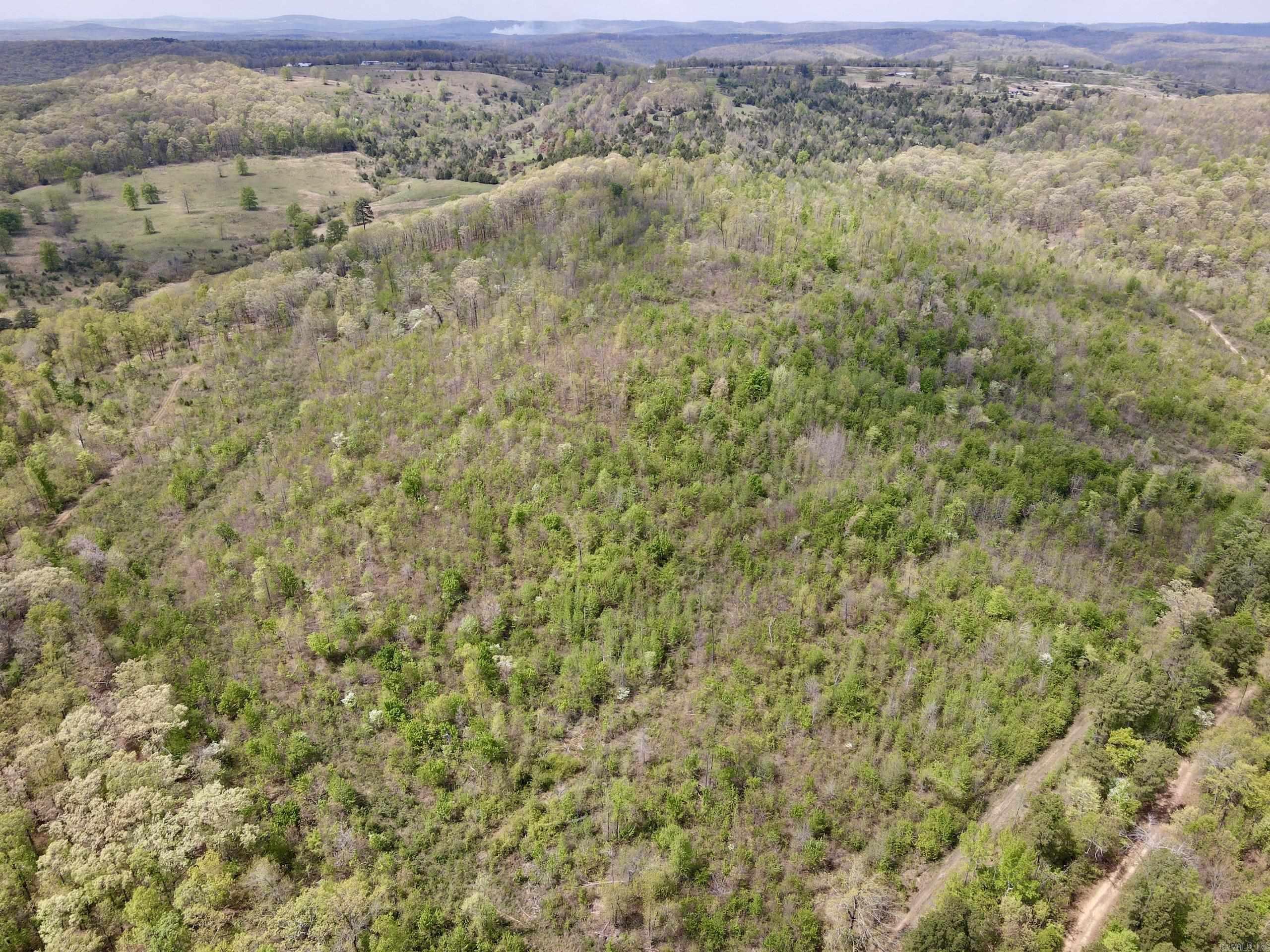 000 Rex Road  Scotland, AR