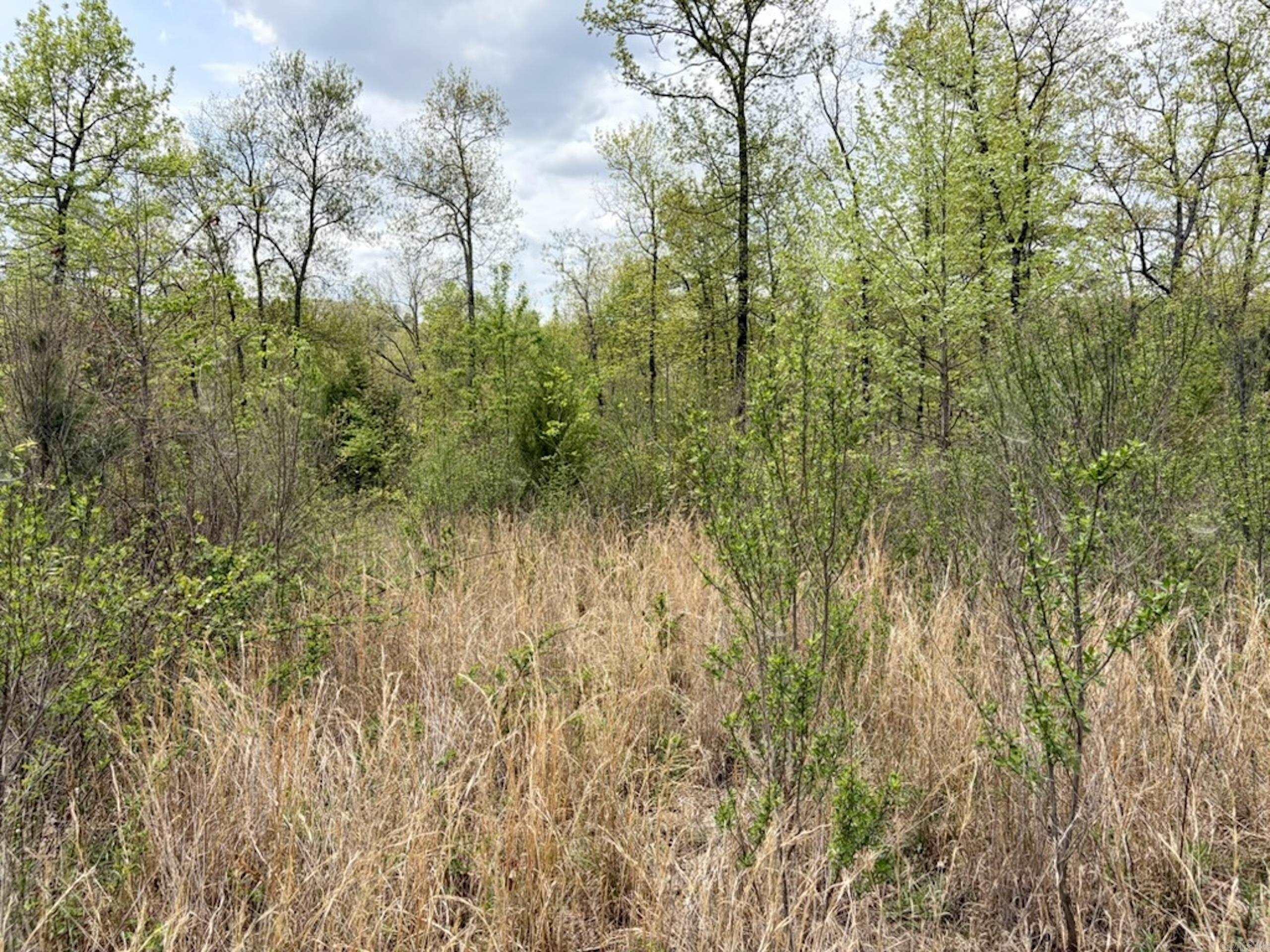 000 Rex Road  Scotland, AR