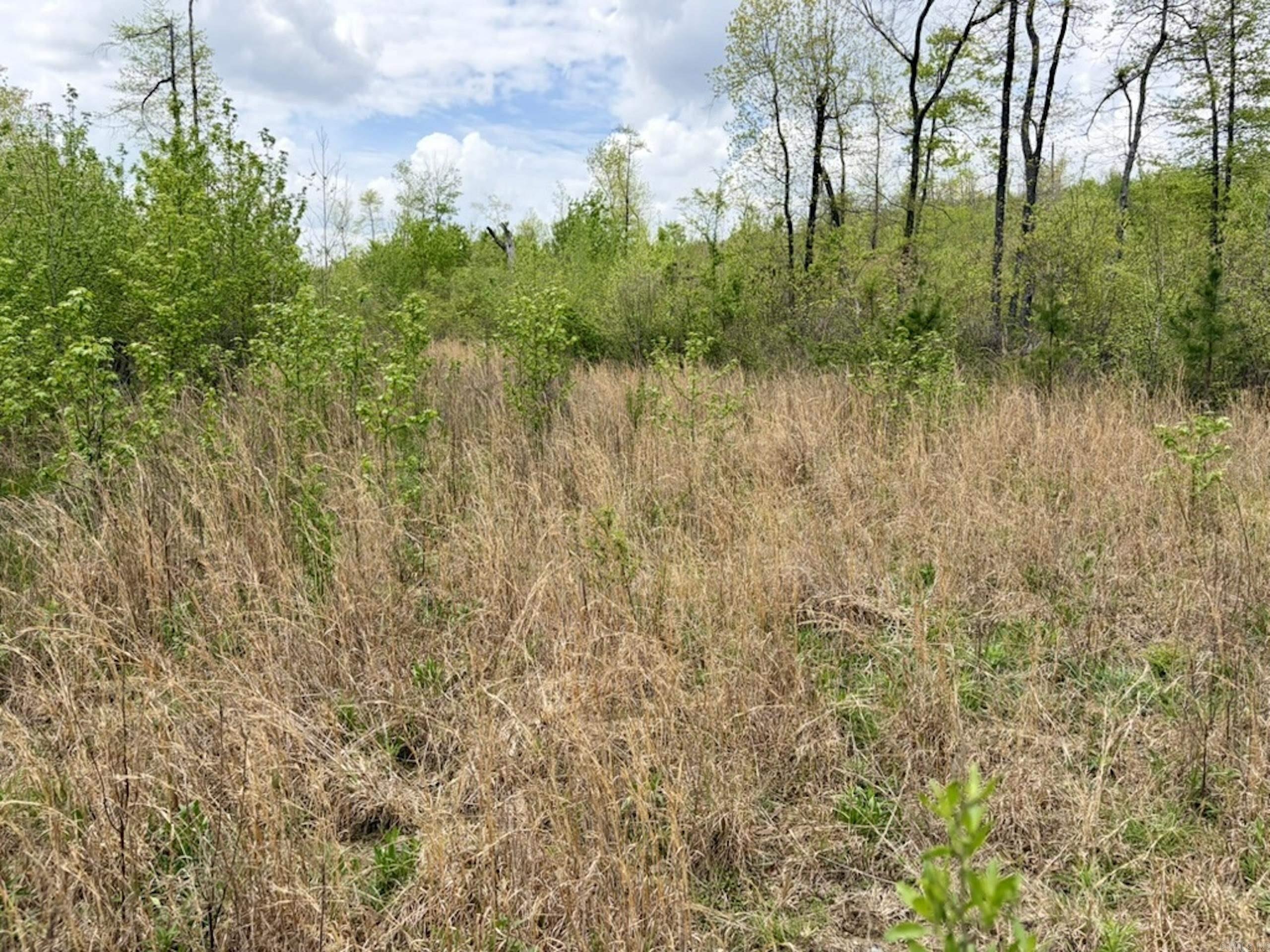 000 Rex Road  Scotland, AR