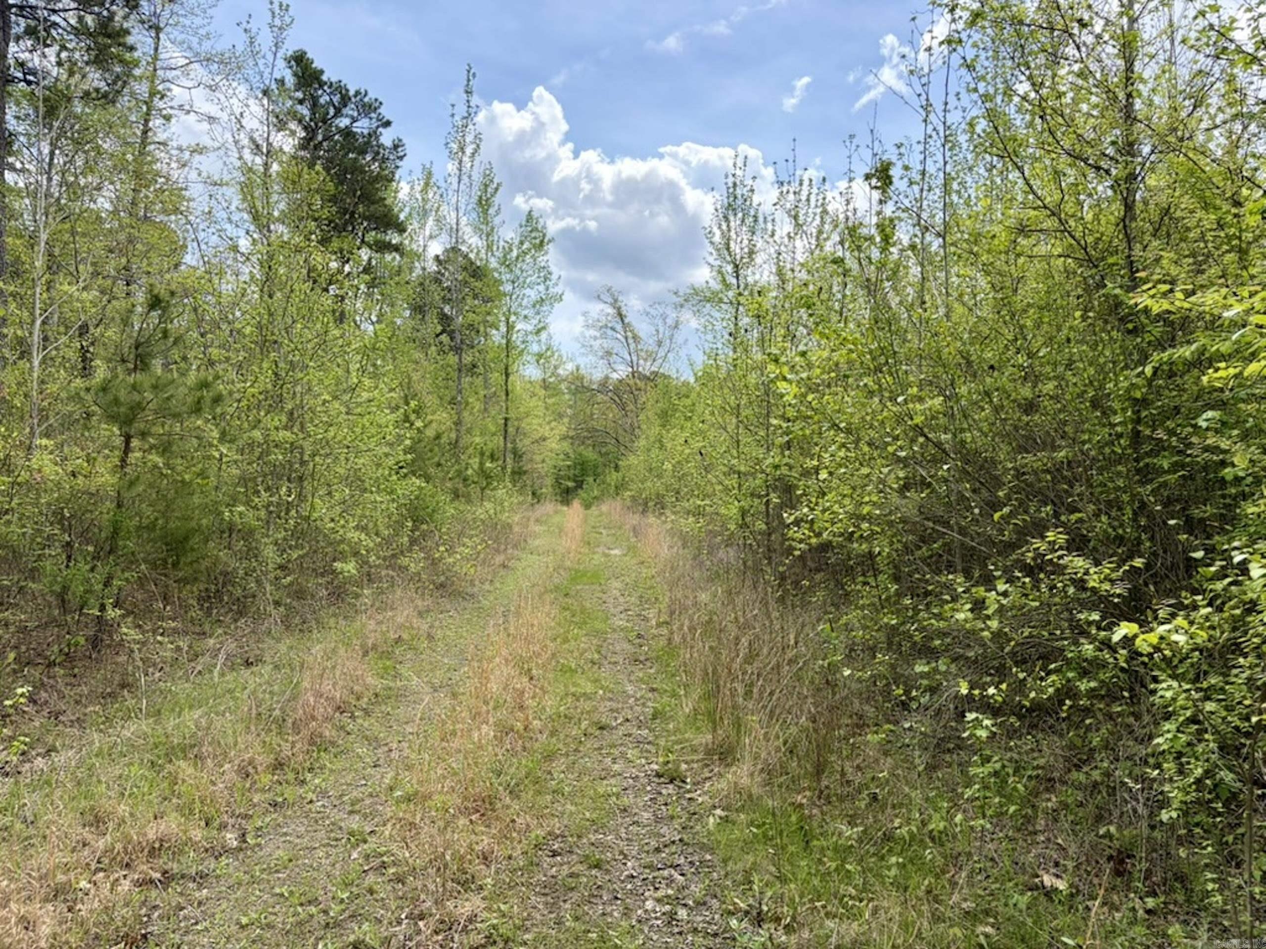 000 Rex Road  Scotland, AR