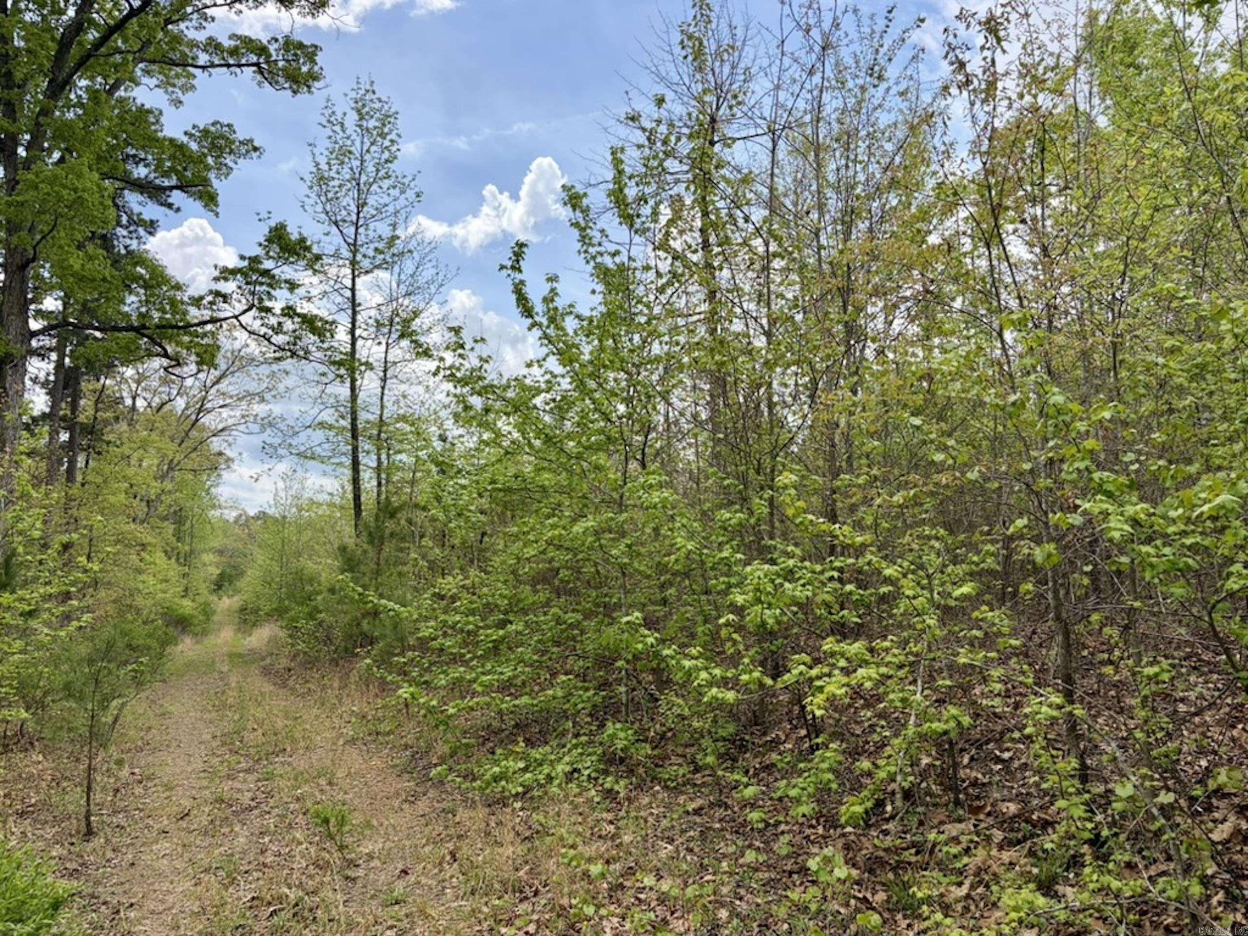 000 Rex Road  Scotland, AR