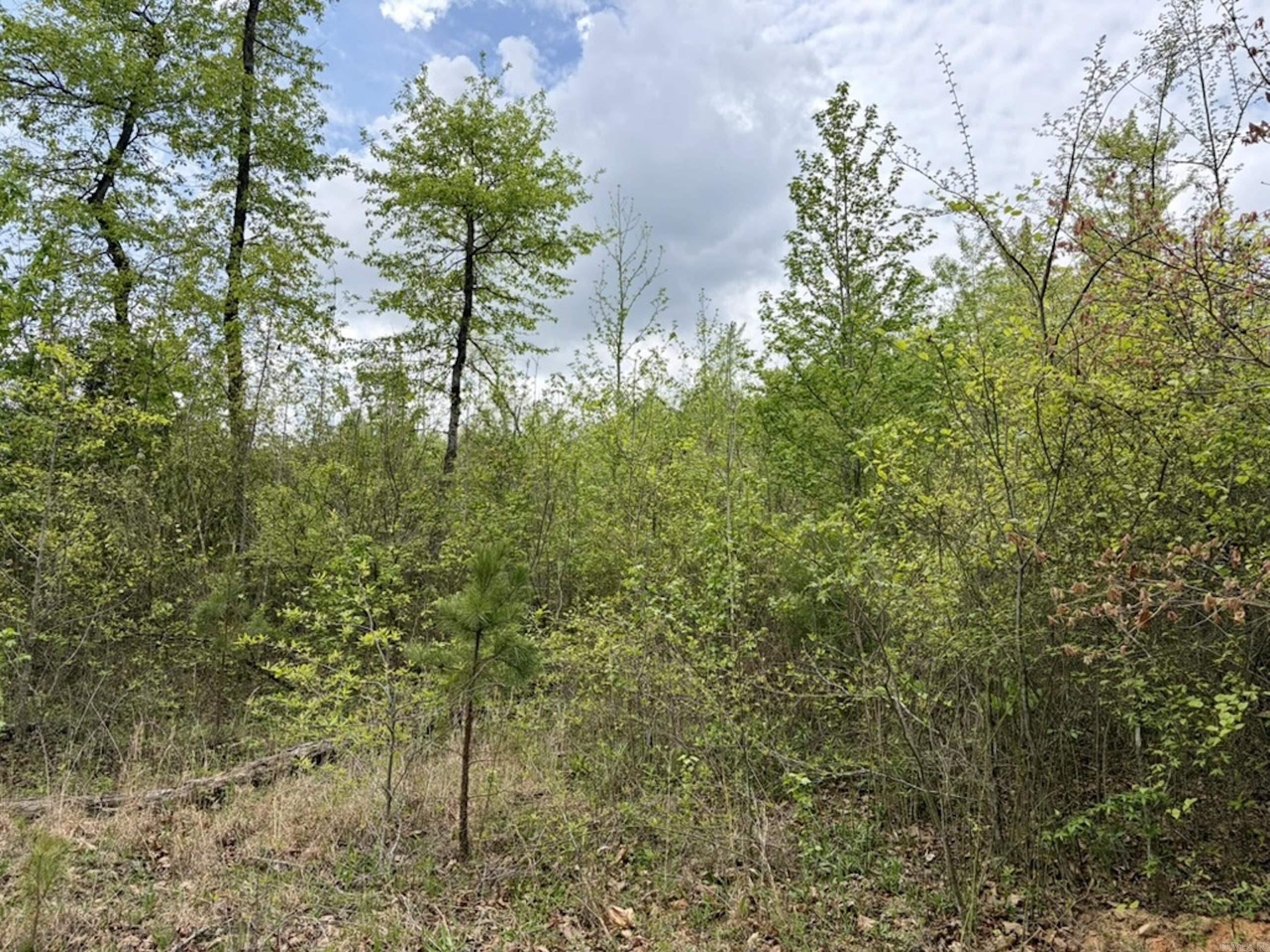 000 Rex Road  Scotland, AR