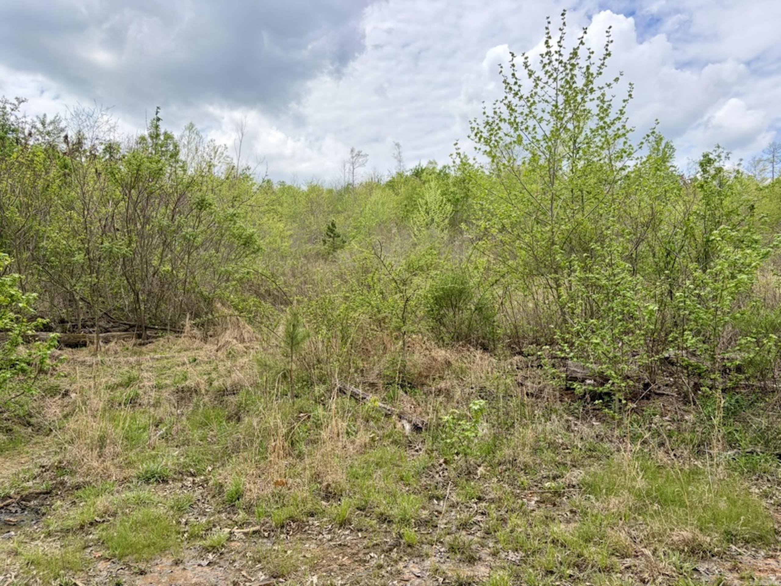 000 Rex Road  Scotland, AR