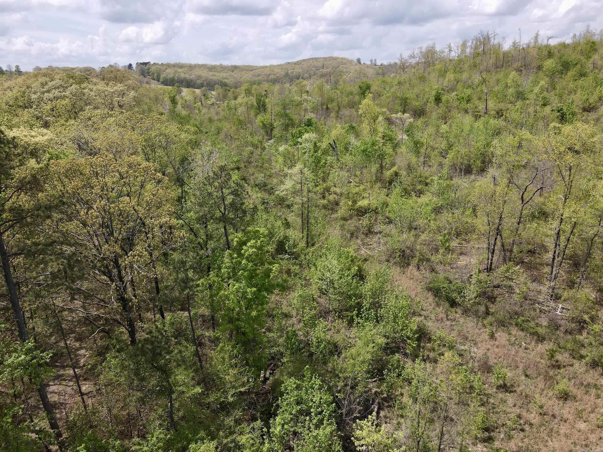 000 Rex Road  Scotland, AR